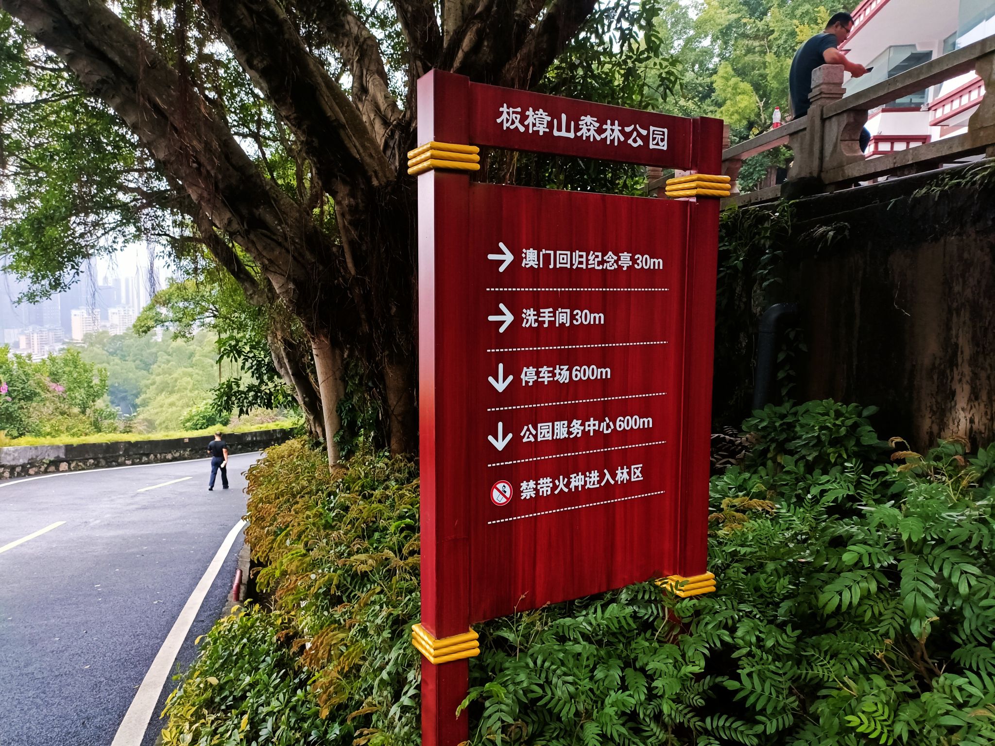 板樟山景观栈道旅行图片 1