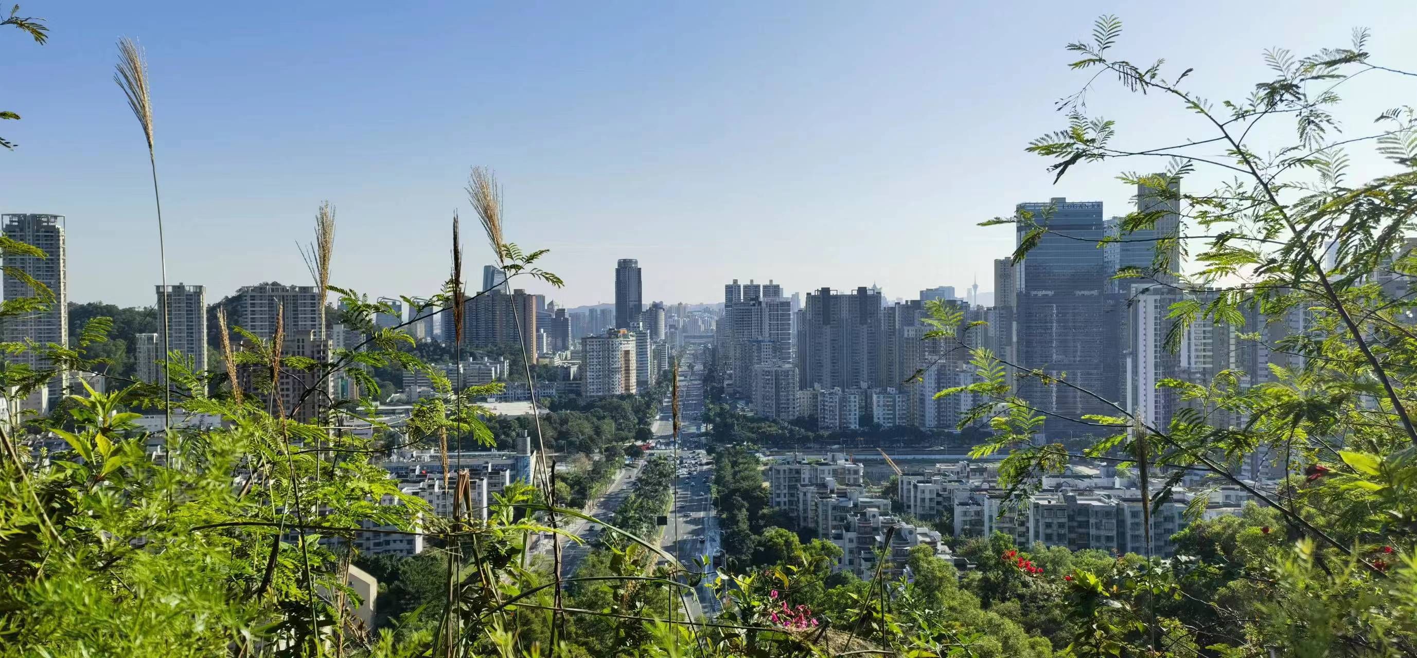 板樟山景观栈道旅行图片 2