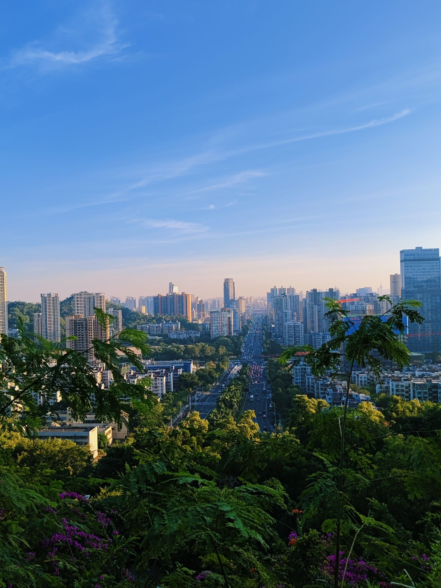 板樟山景观栈道旅行图片 2