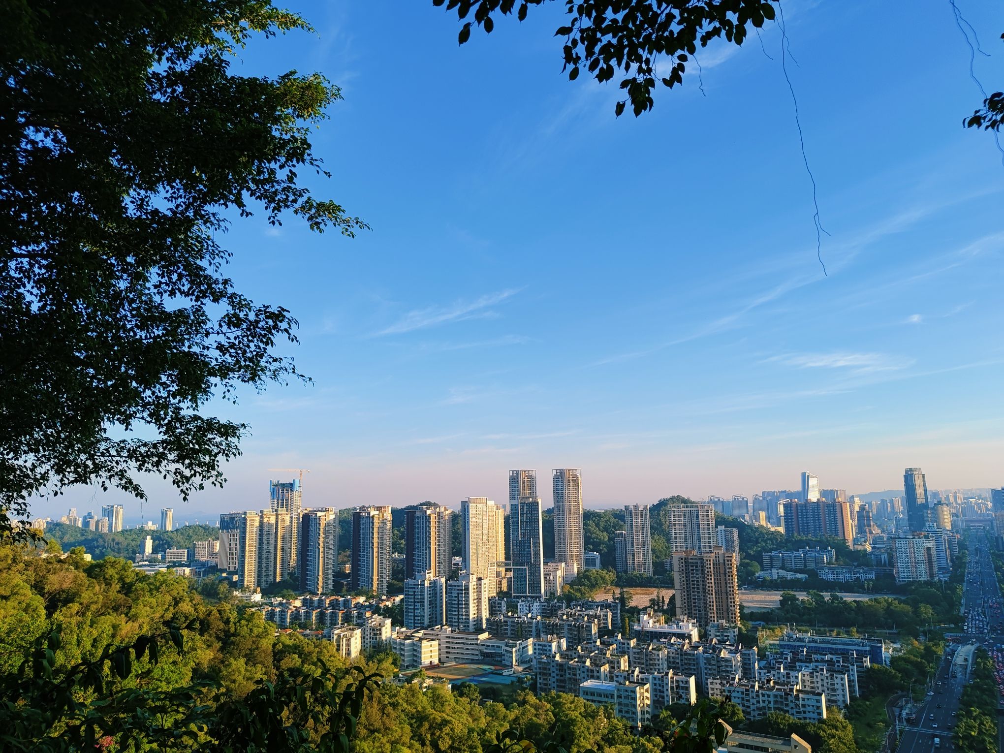 板樟山景观栈道旅行图片 1