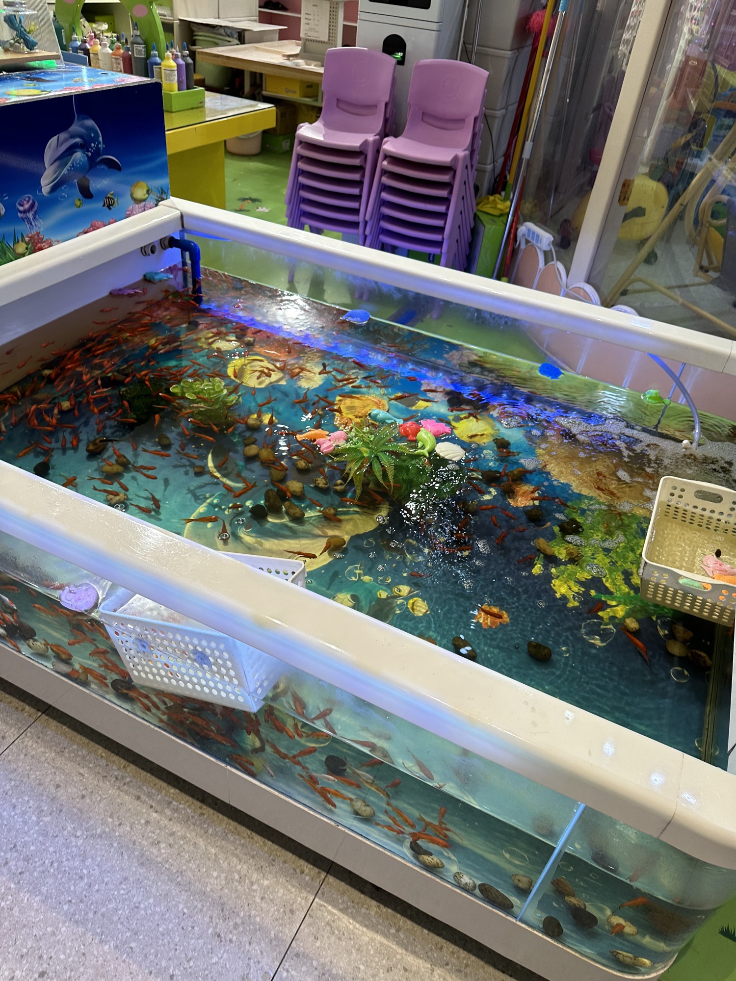 场地封面-虎宝岛(城光荟)