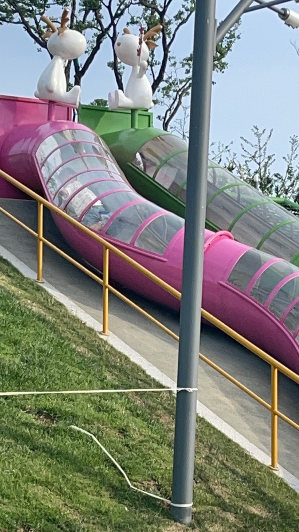 浅山休闲公园旅行图片 2