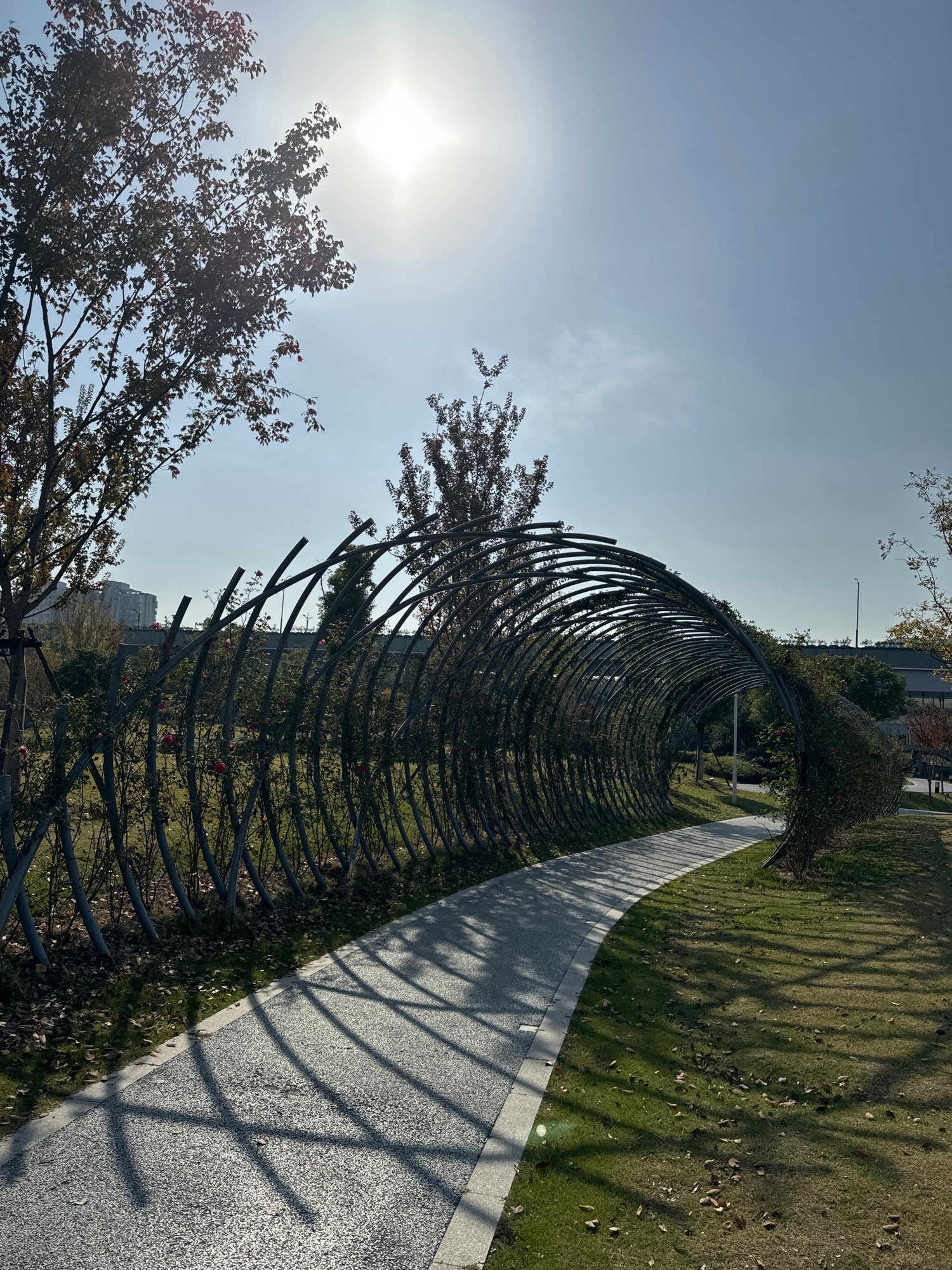 大运河音乐公园旅行图片 2