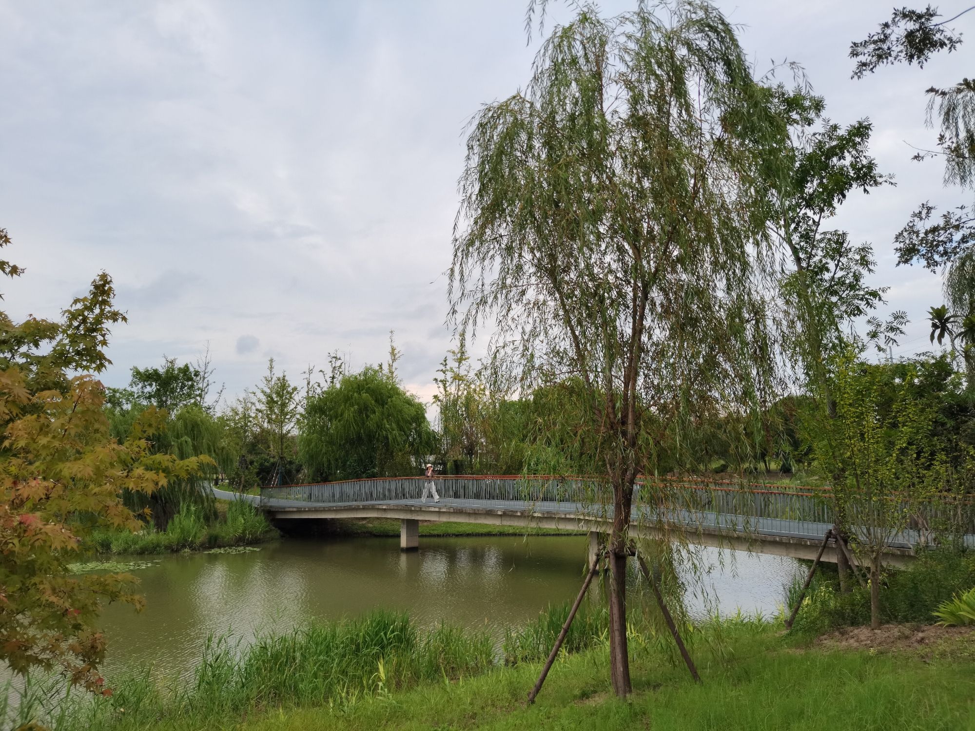 龙泉港公园旅行图片 2