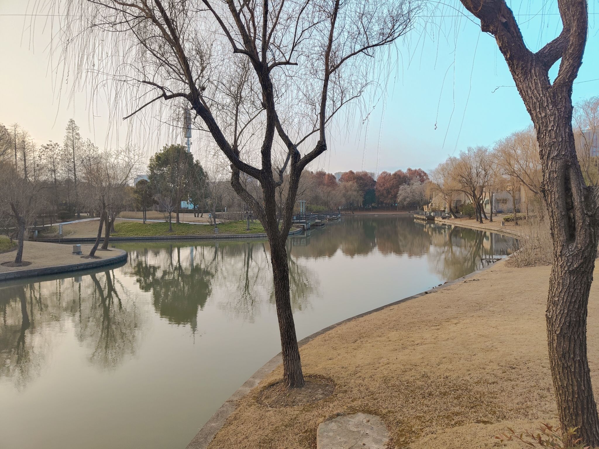 龙泉港公园旅行图片 3