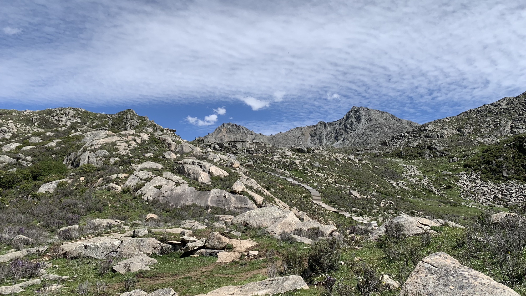 阿坝州雪玛格勒冰川遗迹旅行图片 2
