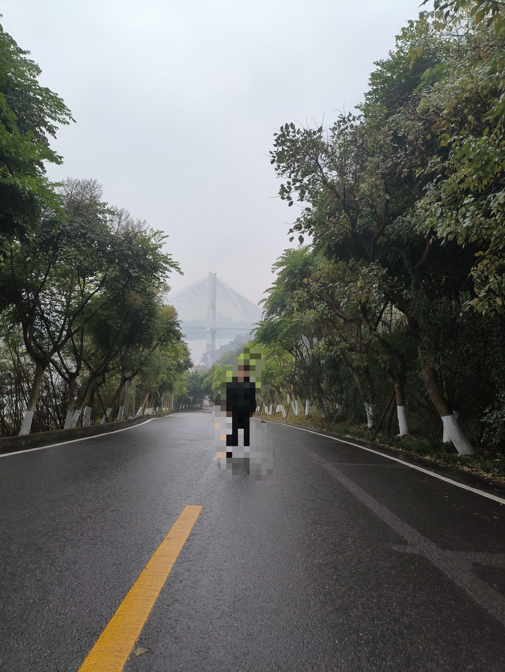 丽雅公园旅行图片 1