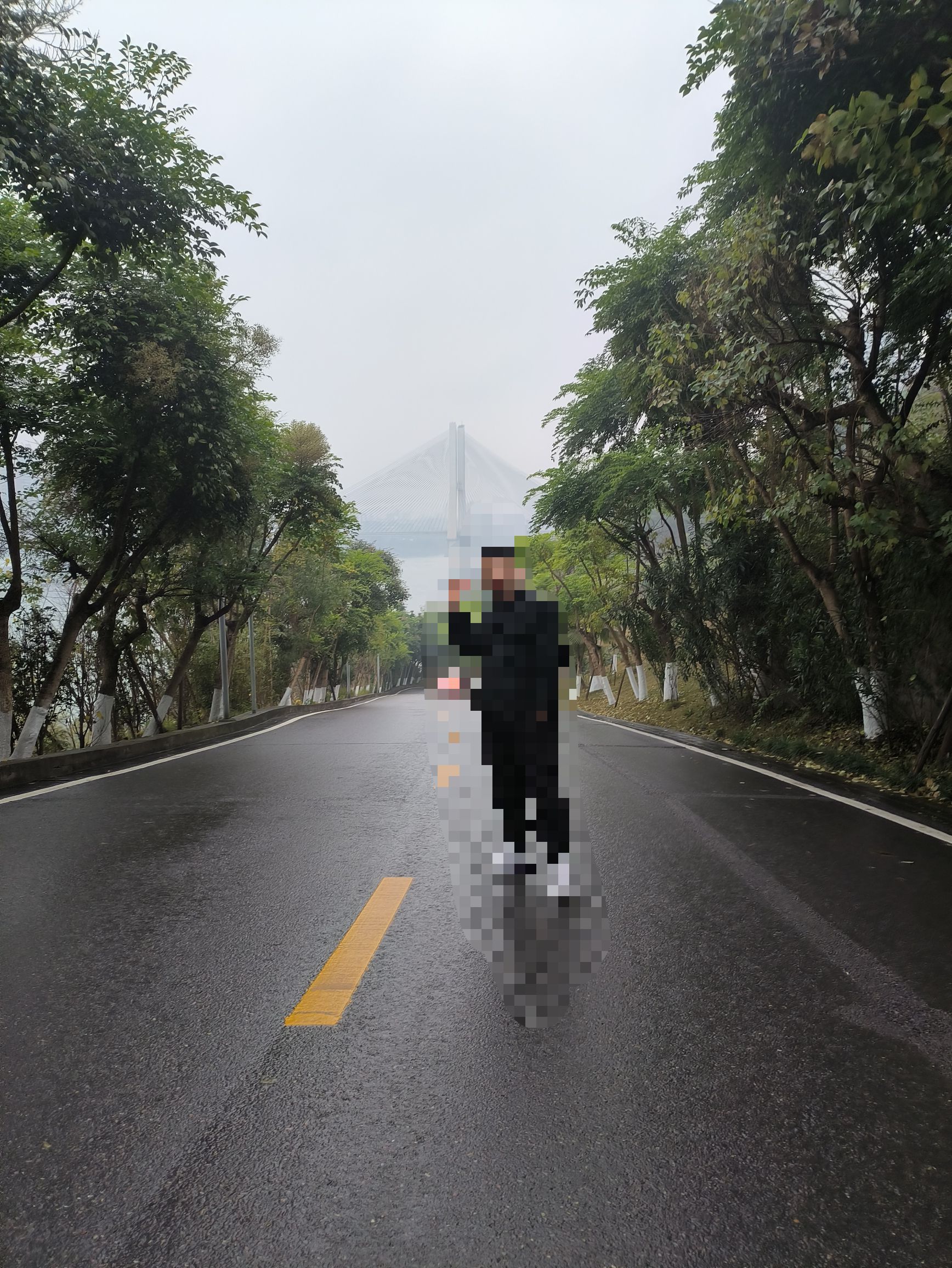 丽雅公园旅行图片 2