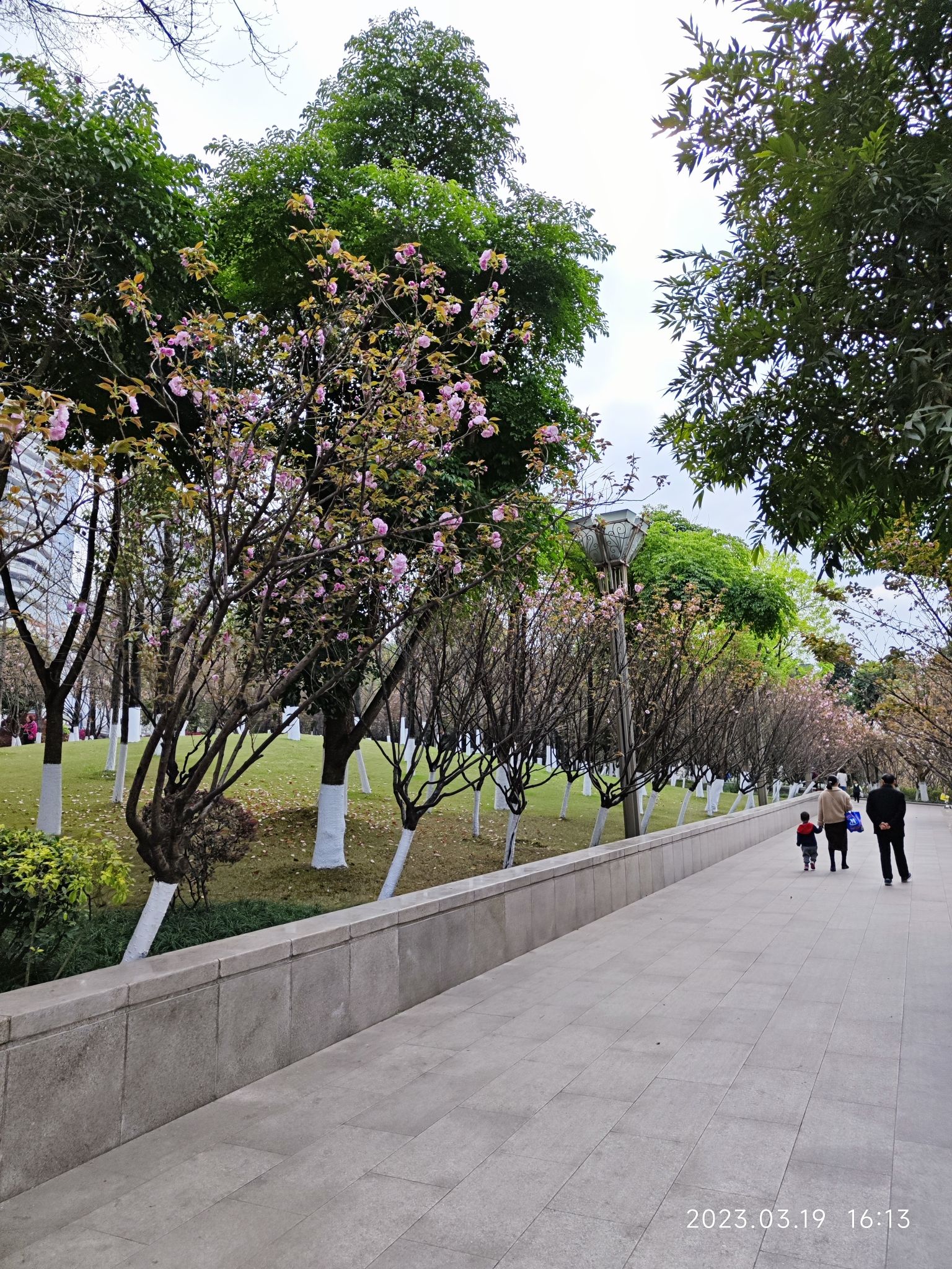 丽雅公园旅行图片 3