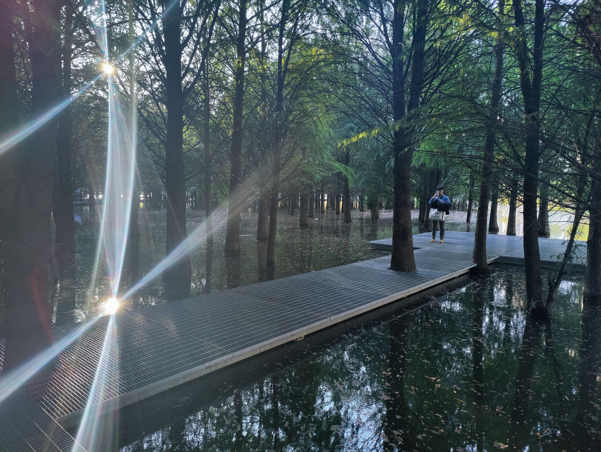 朱家桥尾水净化生态公园旅行图片 1