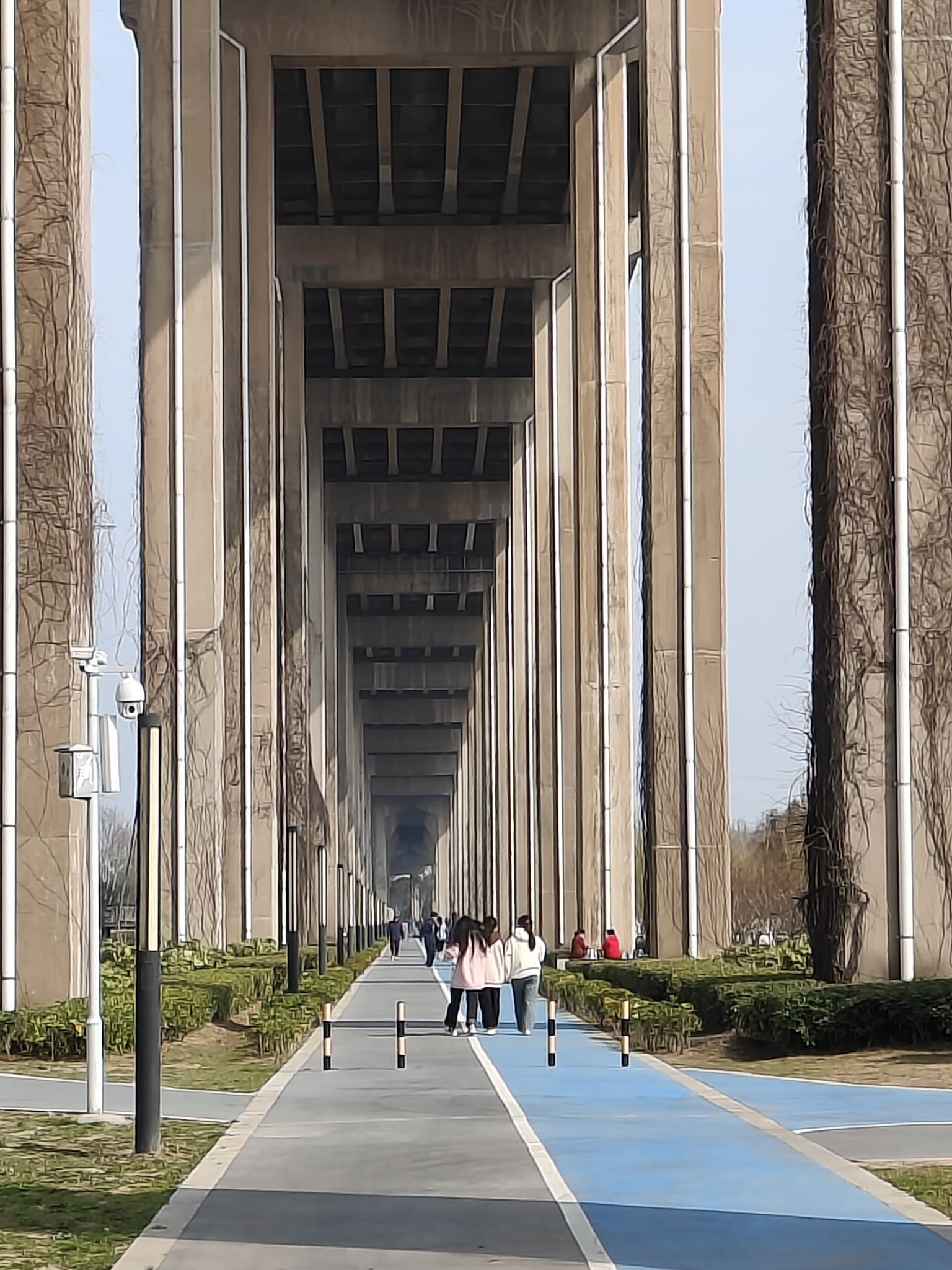 朱家桥尾水净化生态公园旅行图片 1