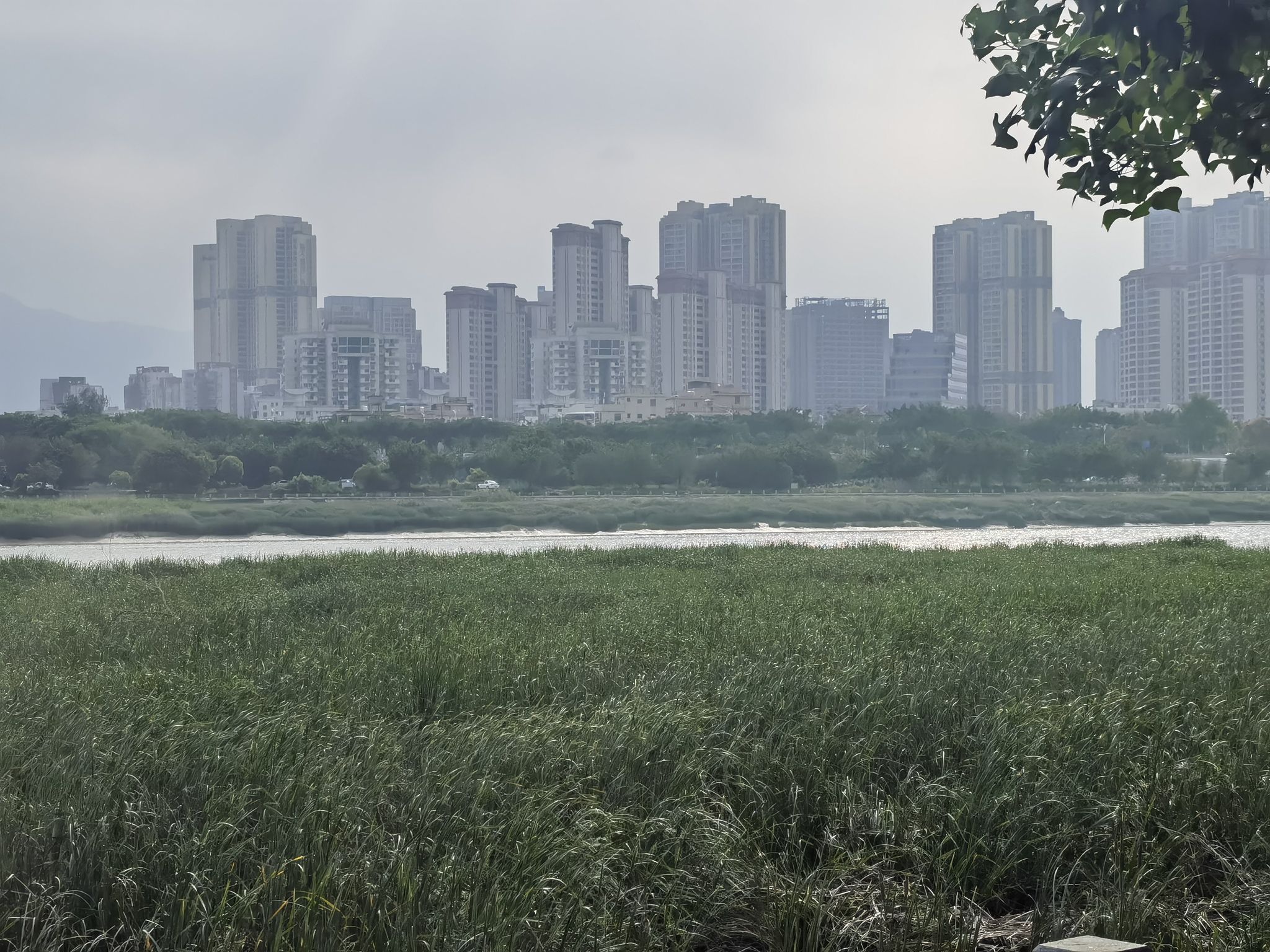 北滨江公园笋浯园旅行图片 2