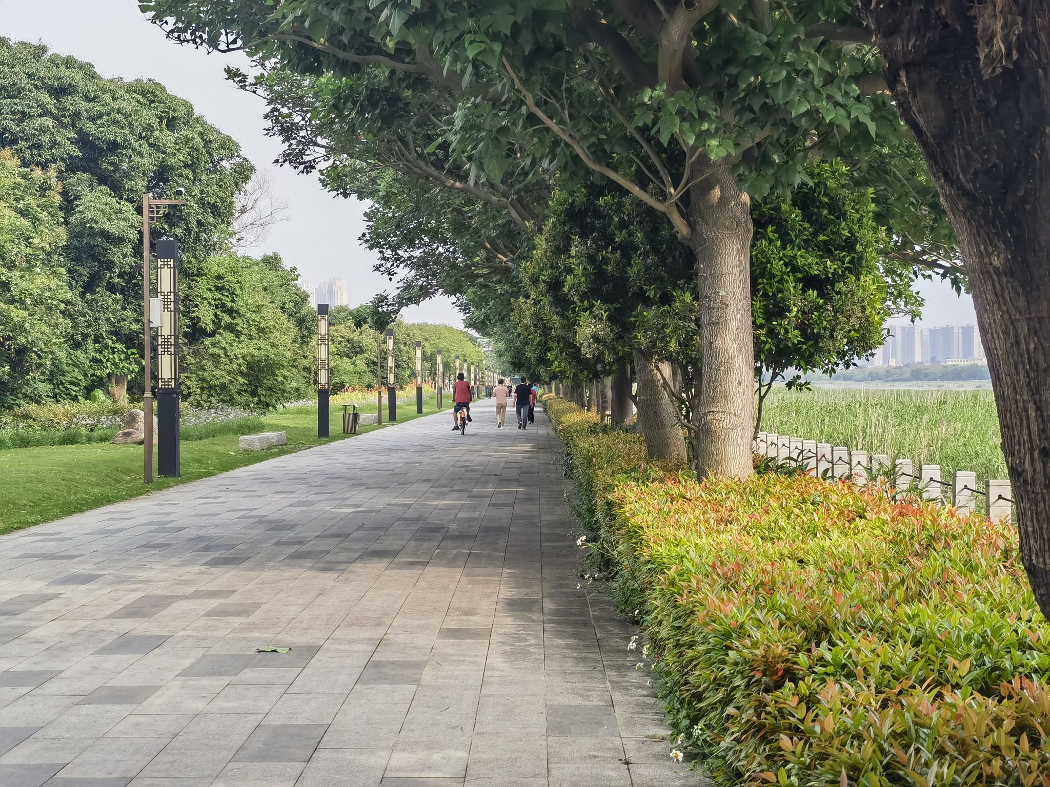 北滨江公园笋浯园旅行图片 1