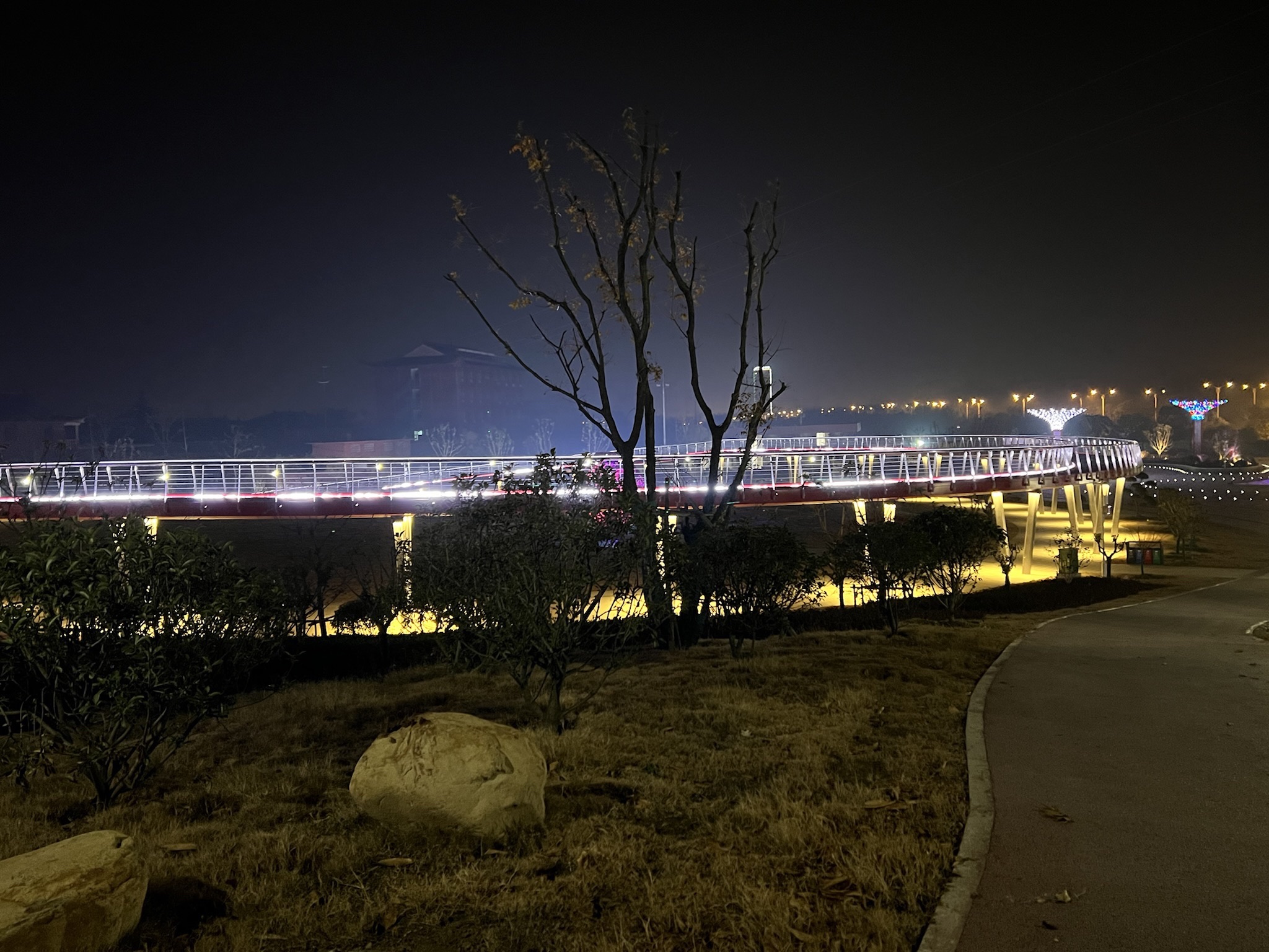 金牛山公园旅行图片 1