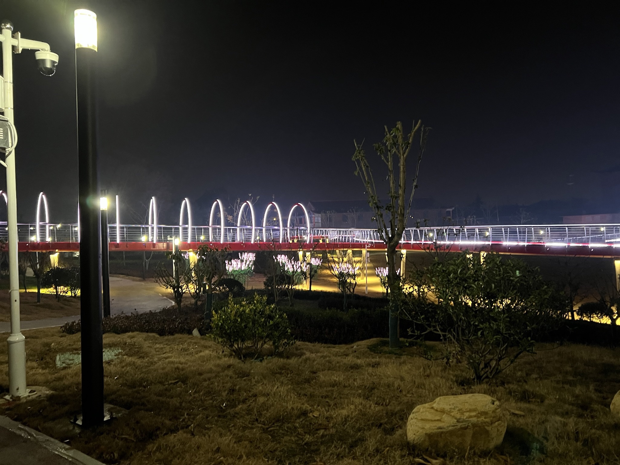 金牛山公园旅行图片 3