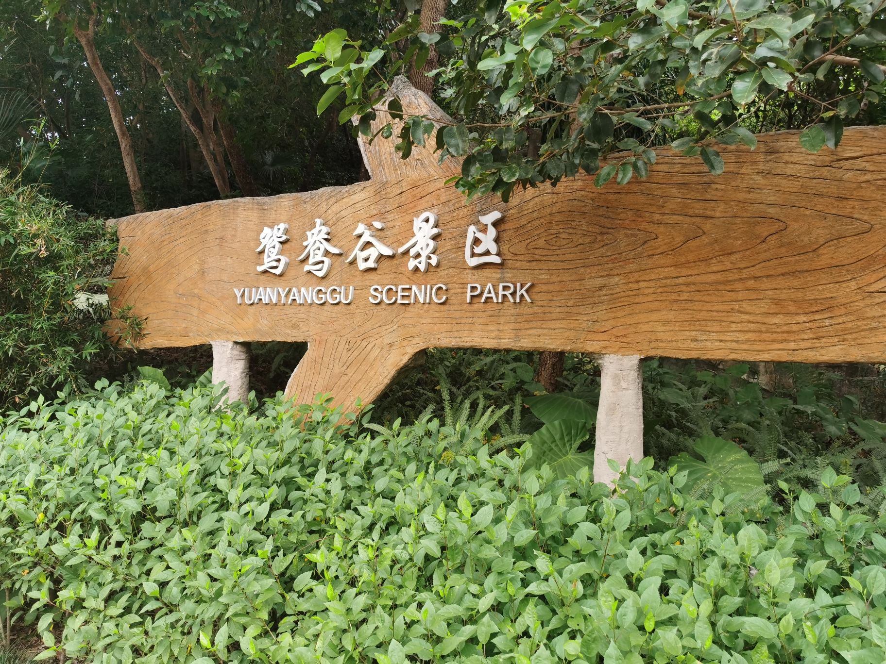 鸳鸯湖旅行图片 3