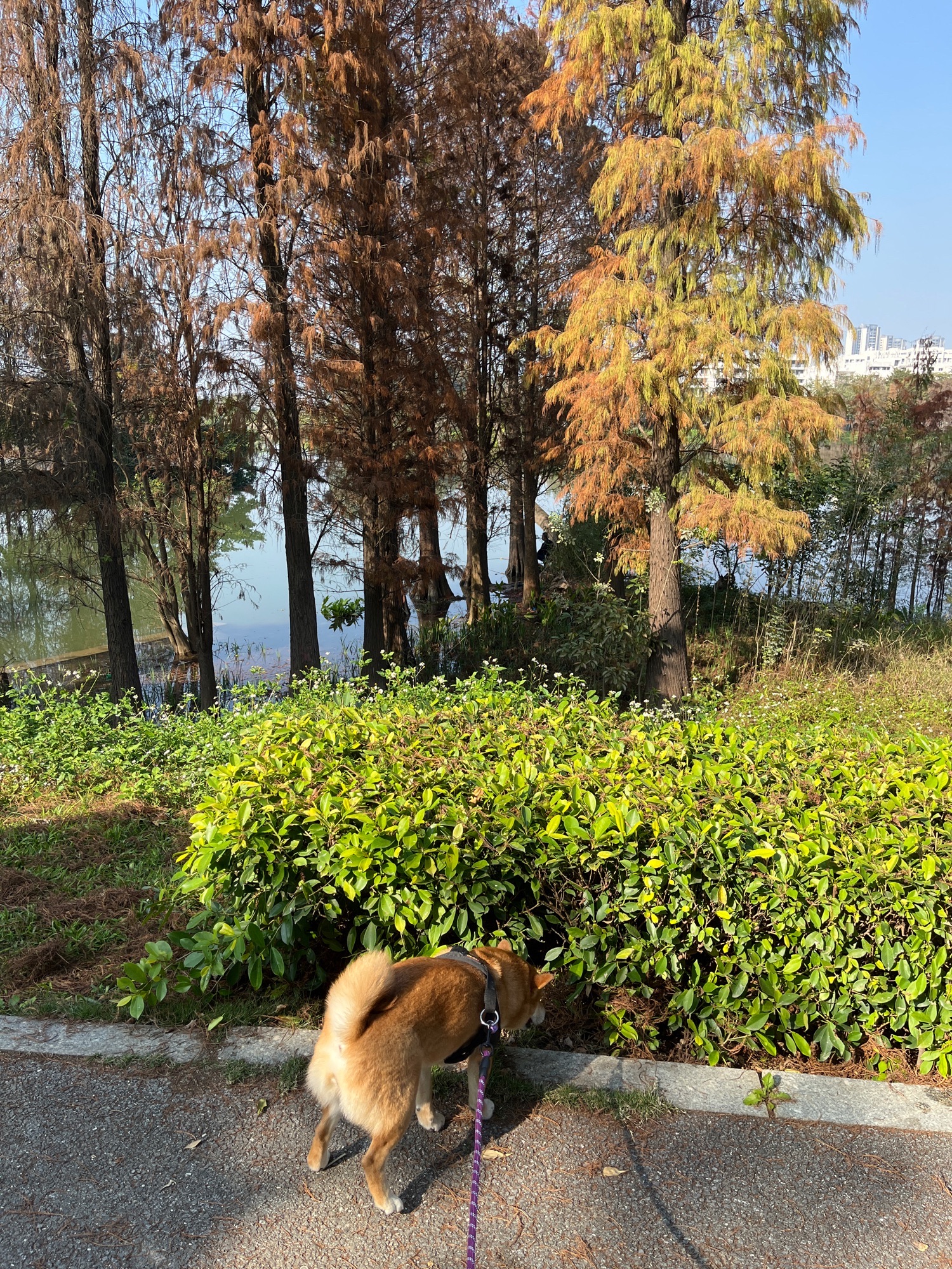 健康主题公园旅行图片 1