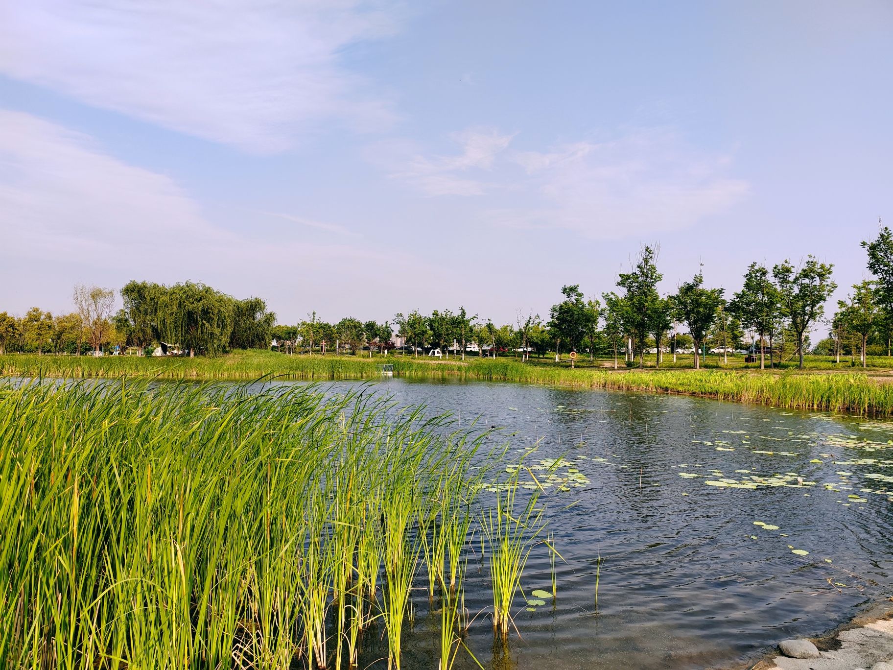 秦汉新城渭河湿地公园