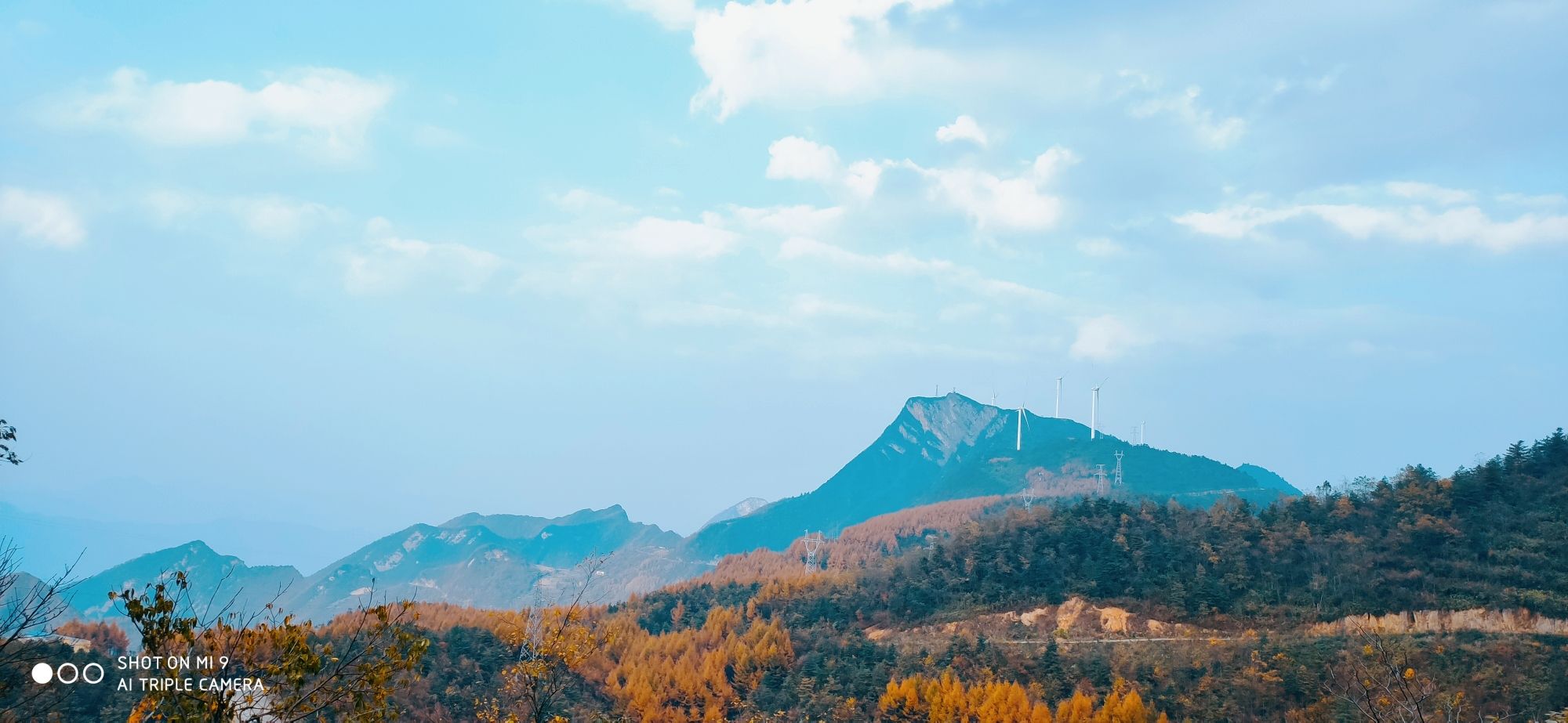 金凤山观景台