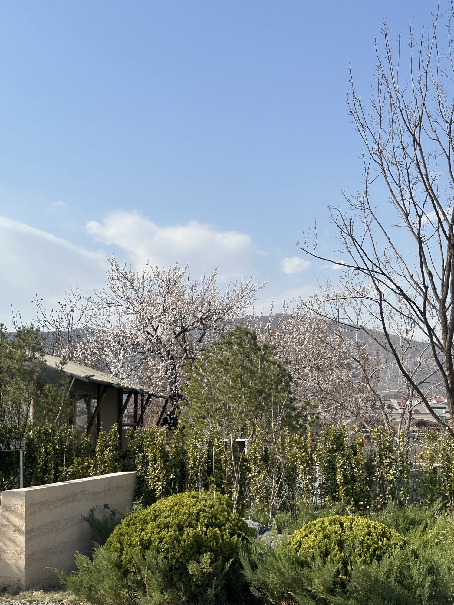 檀谷·慢闪公园旅行图片 3
