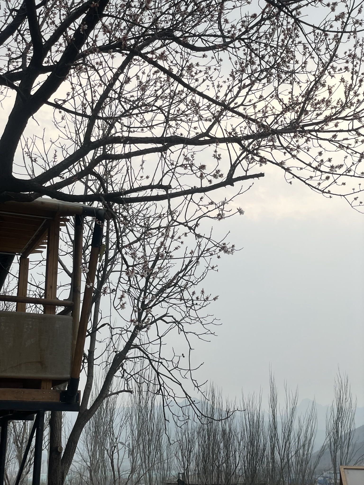 檀谷·慢闪公园旅行图片 2