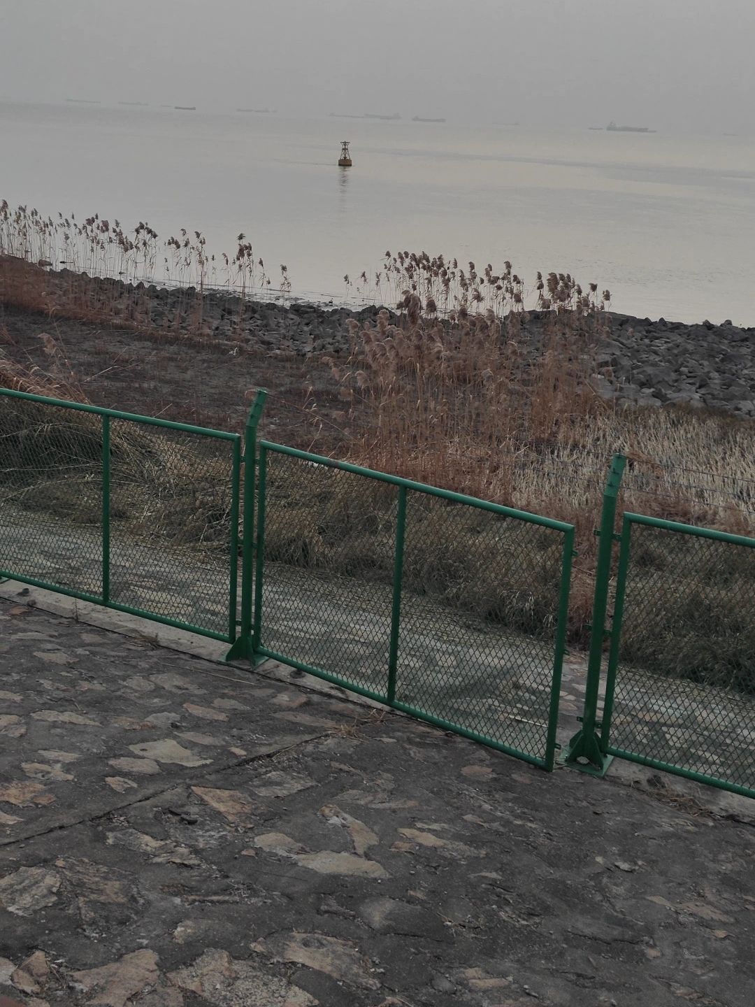 能达滨江生态公园旅行图片 1