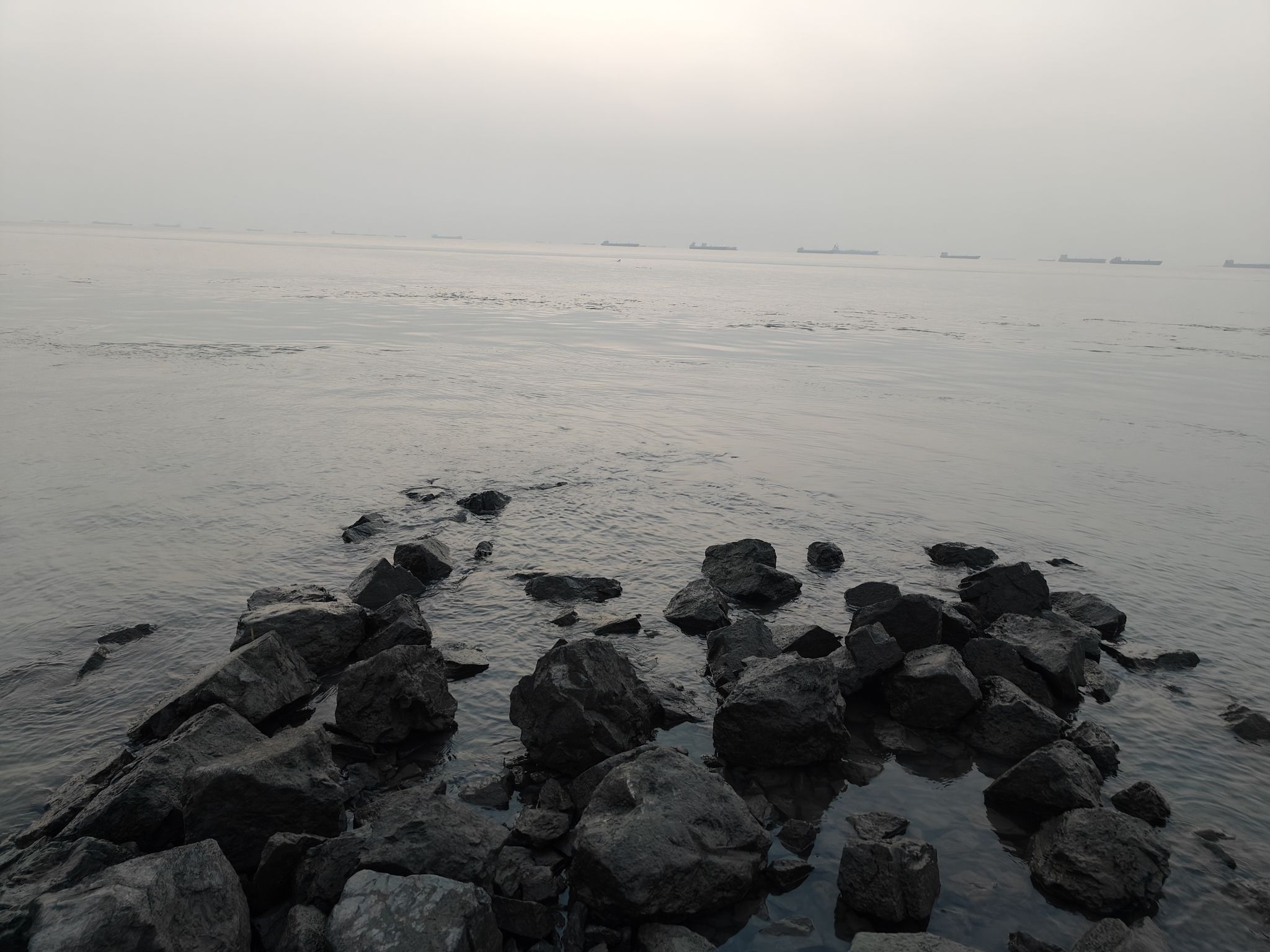 能达滨江生态公园旅行图片 2