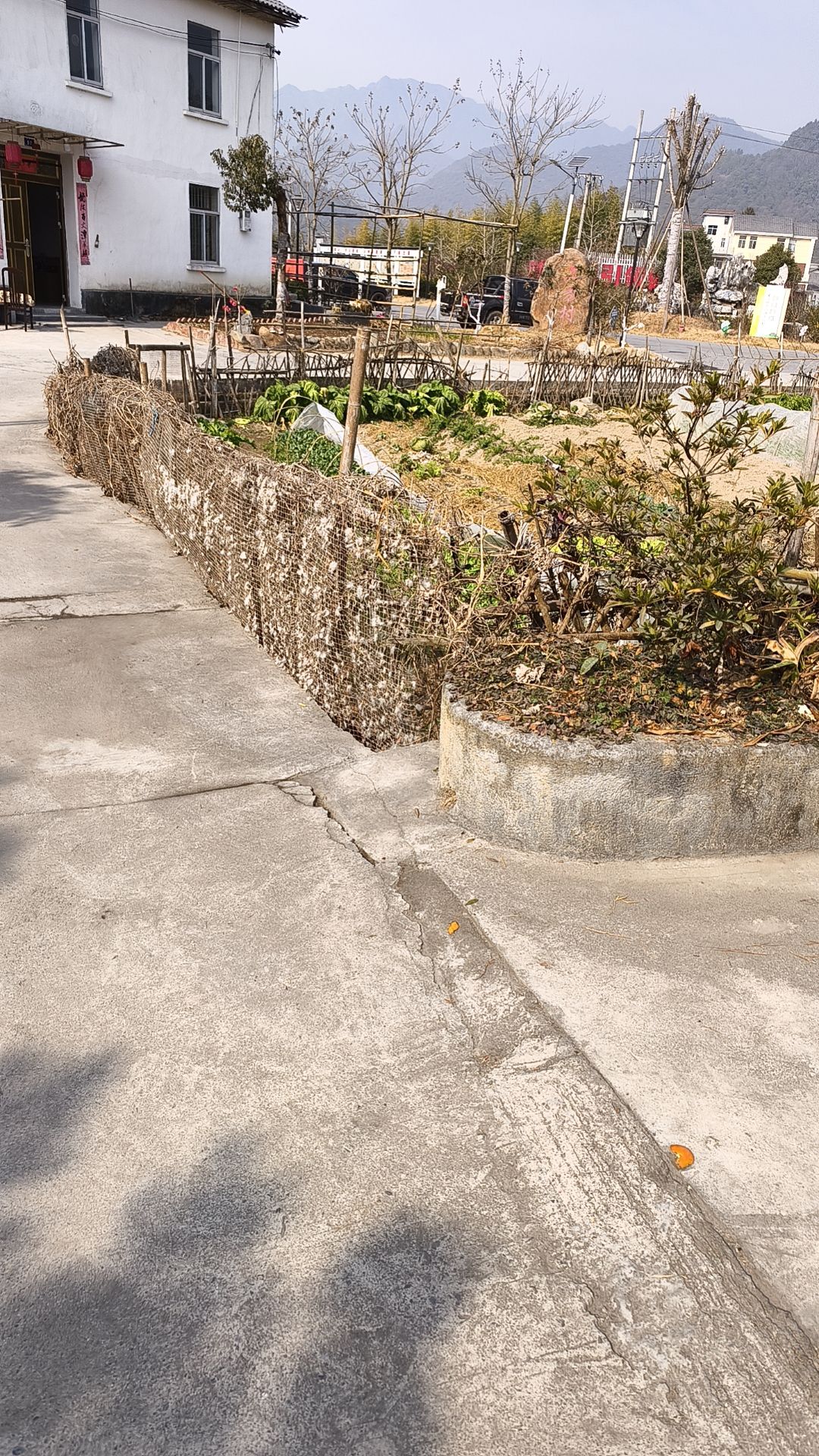花树岭古道旅行图片 1