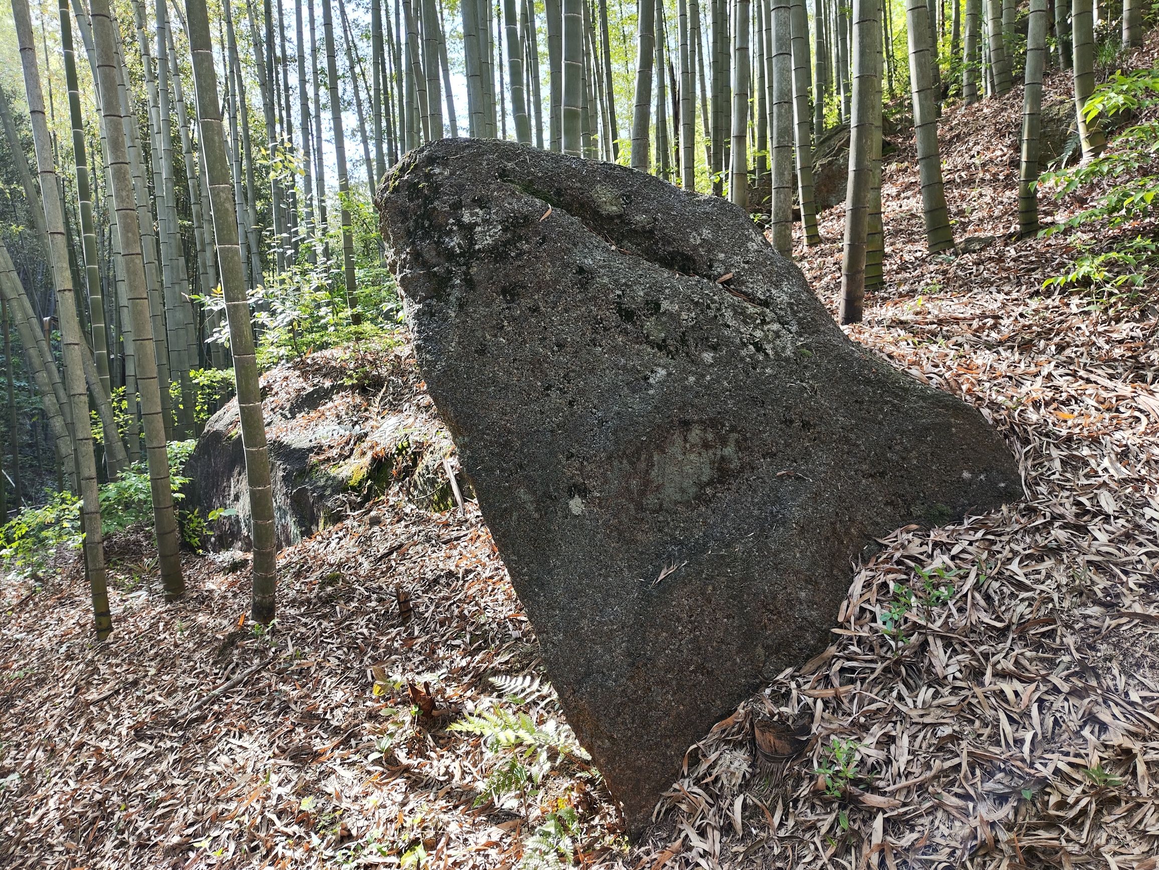 董岭关天然风景区旅行图片 1