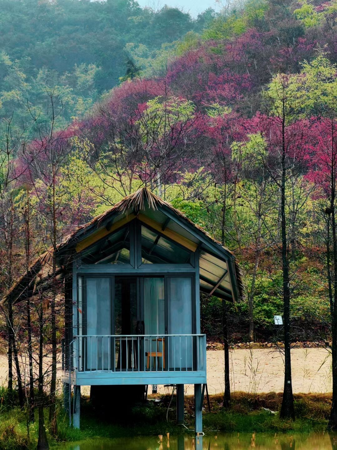 七溪地·檀香亭旅行图片 1