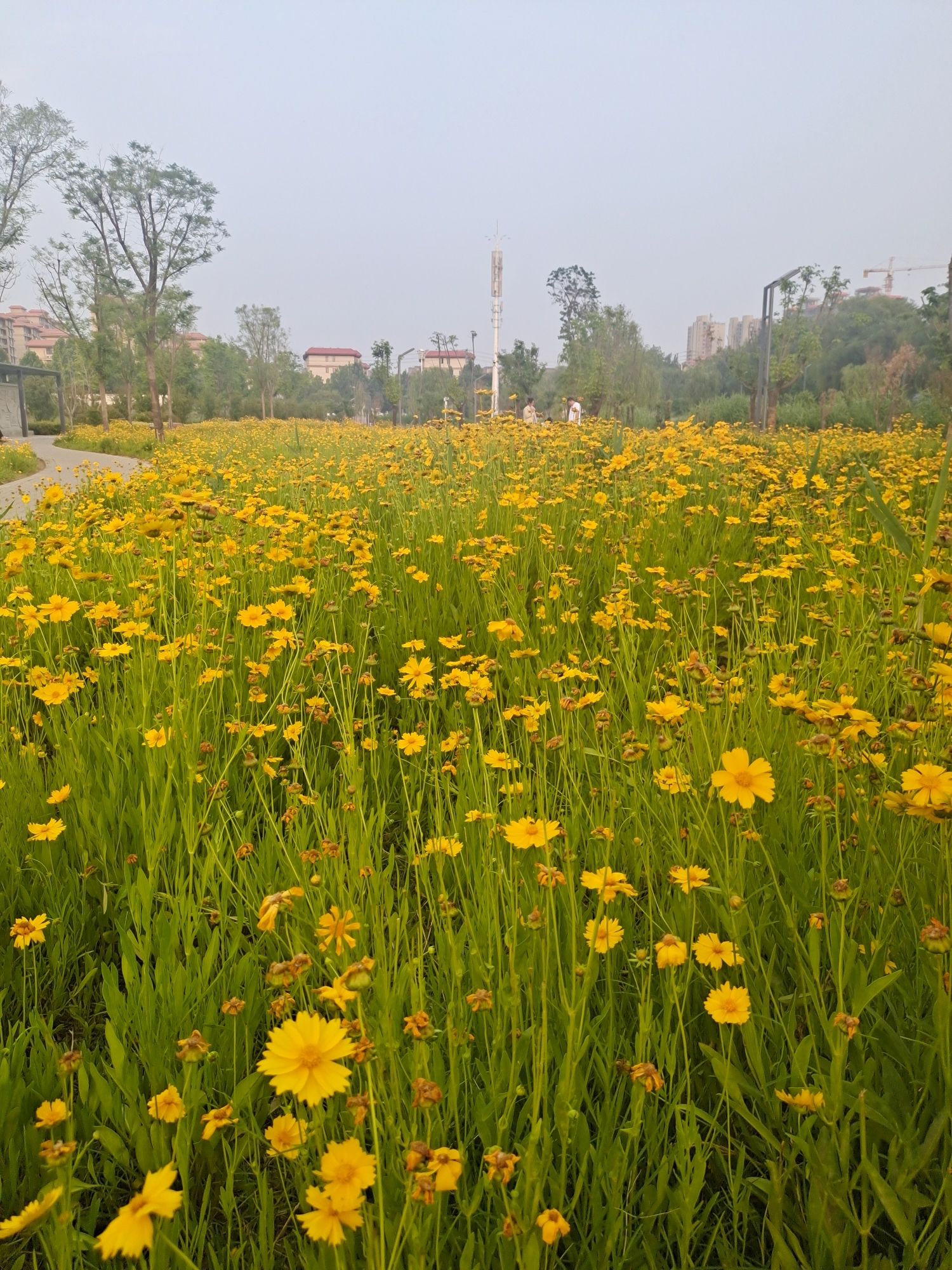 甜湖公园旅行图片 2