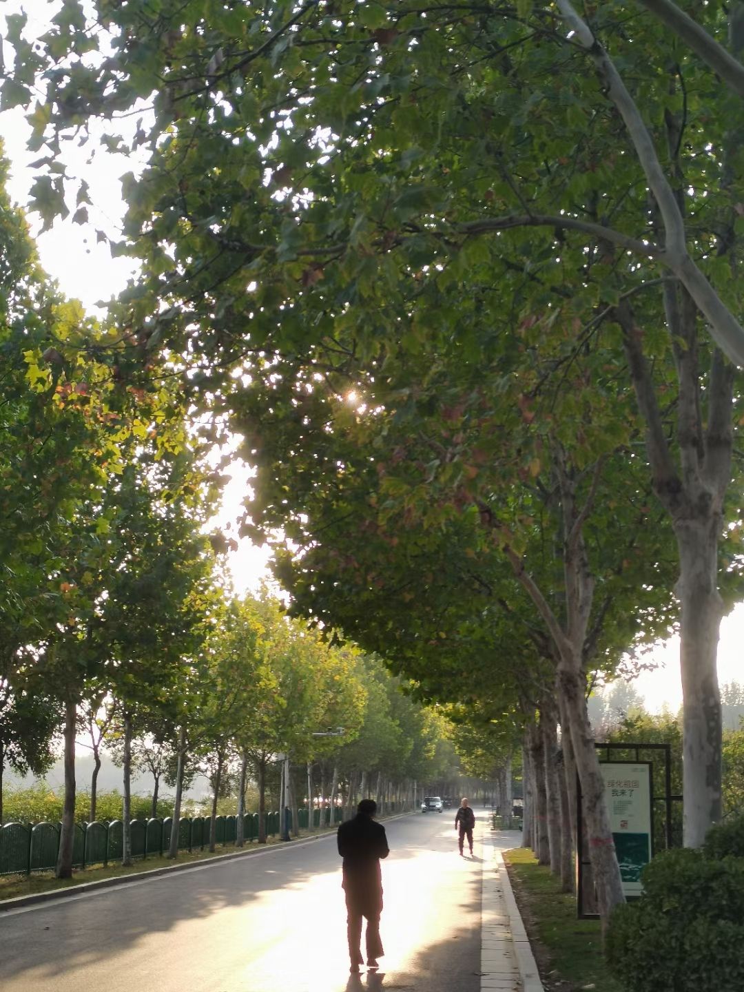 南湖沙滩公园旅行图片 1
