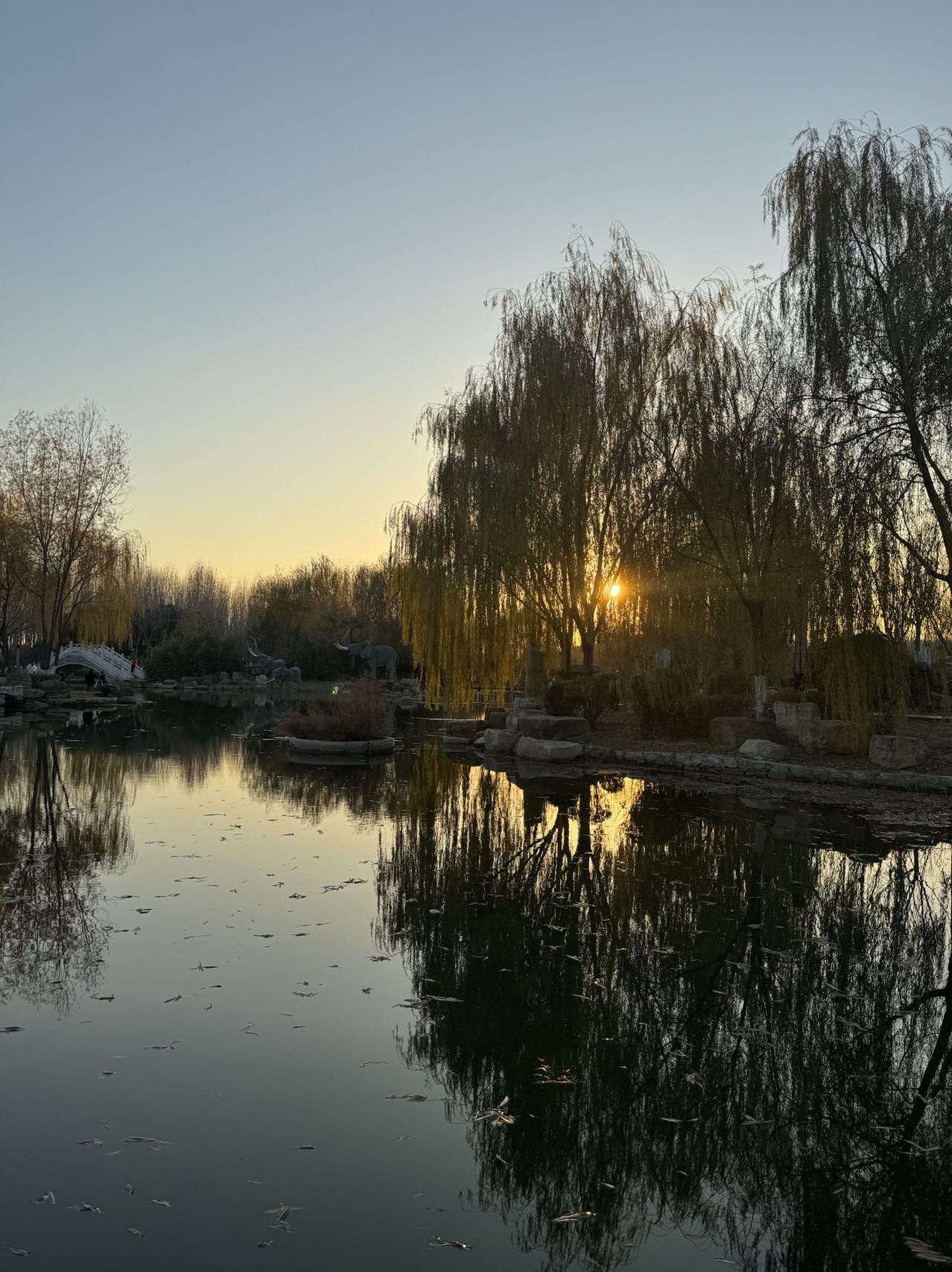 南湖沙滩公园旅行图片 2