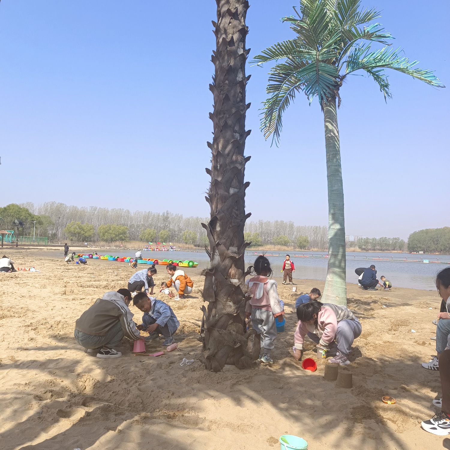 南湖沙滩公园旅行图片 3