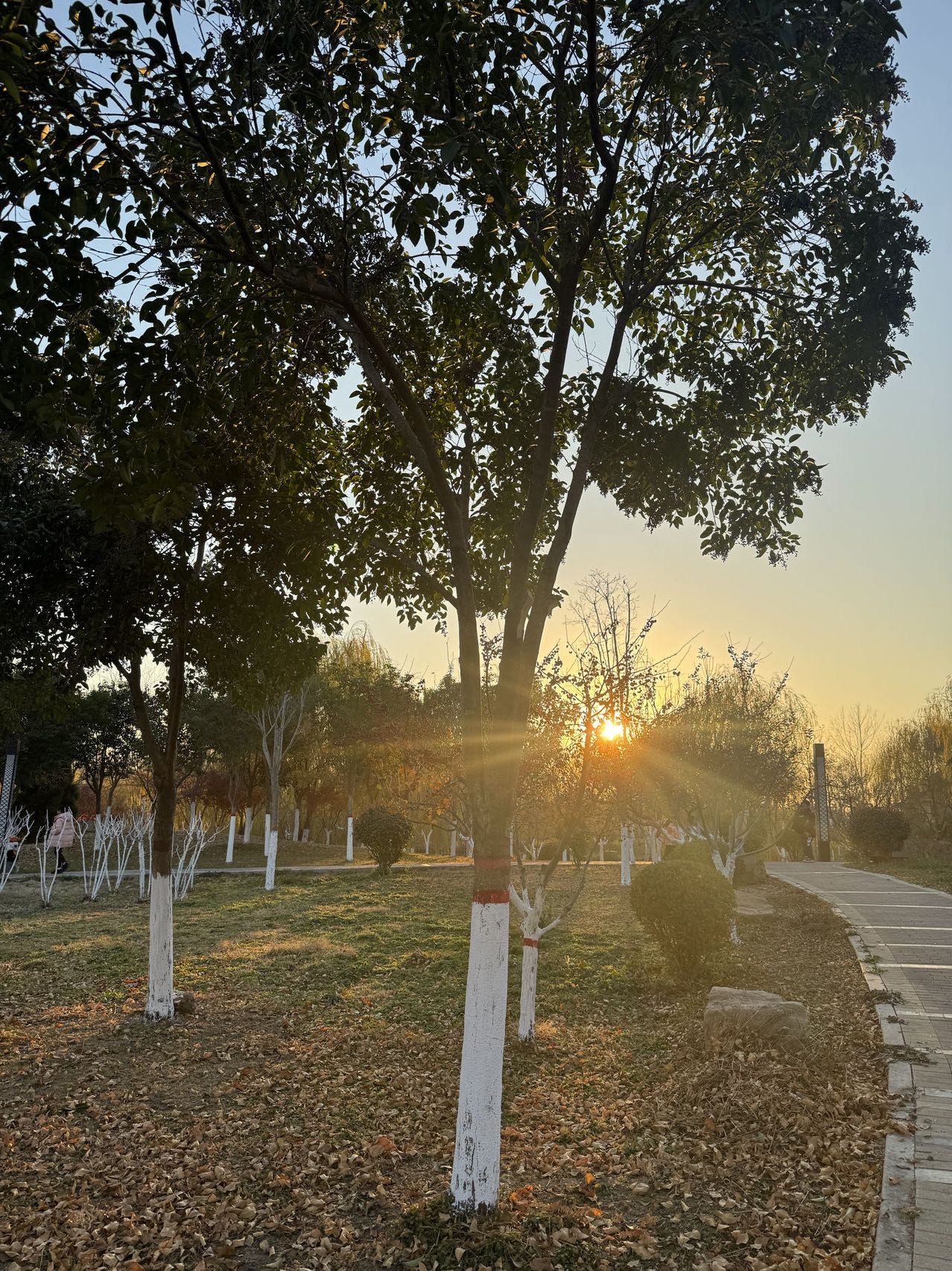 南湖沙滩公园旅行图片 3