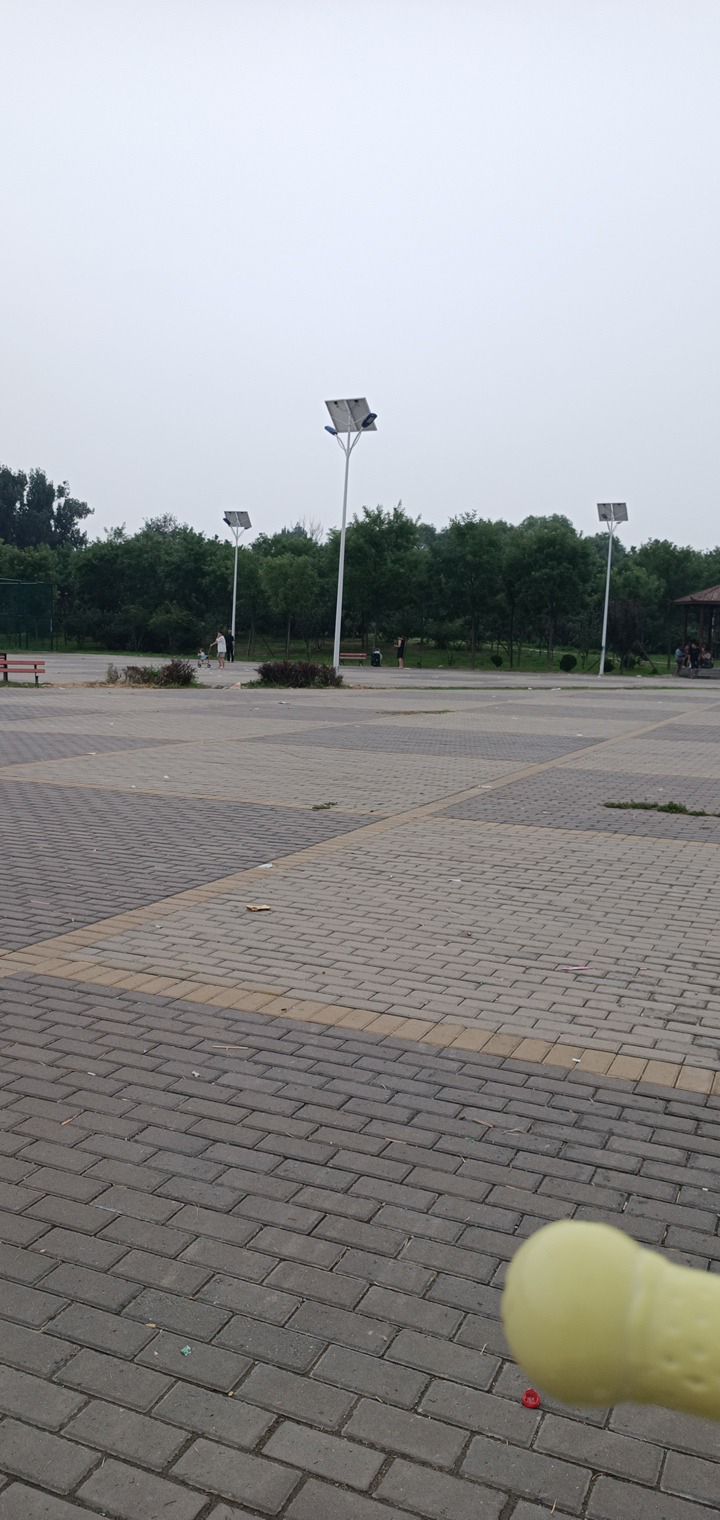 金盏西村街心公园