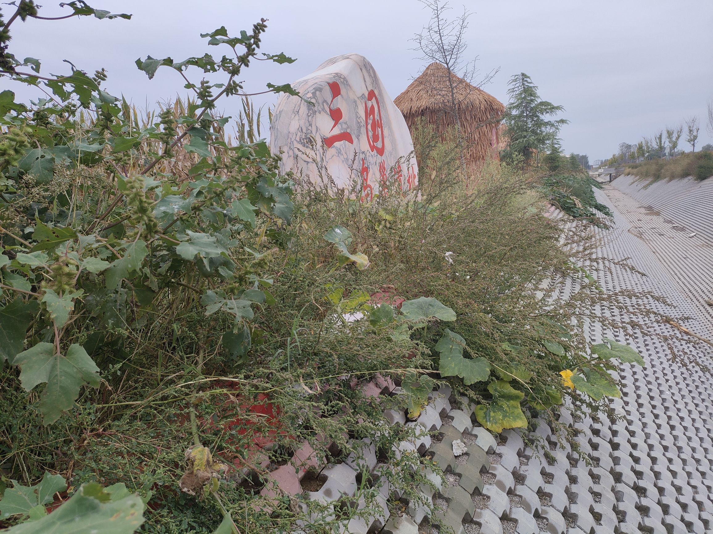三国火烧乌巢遗址旅行图片 1