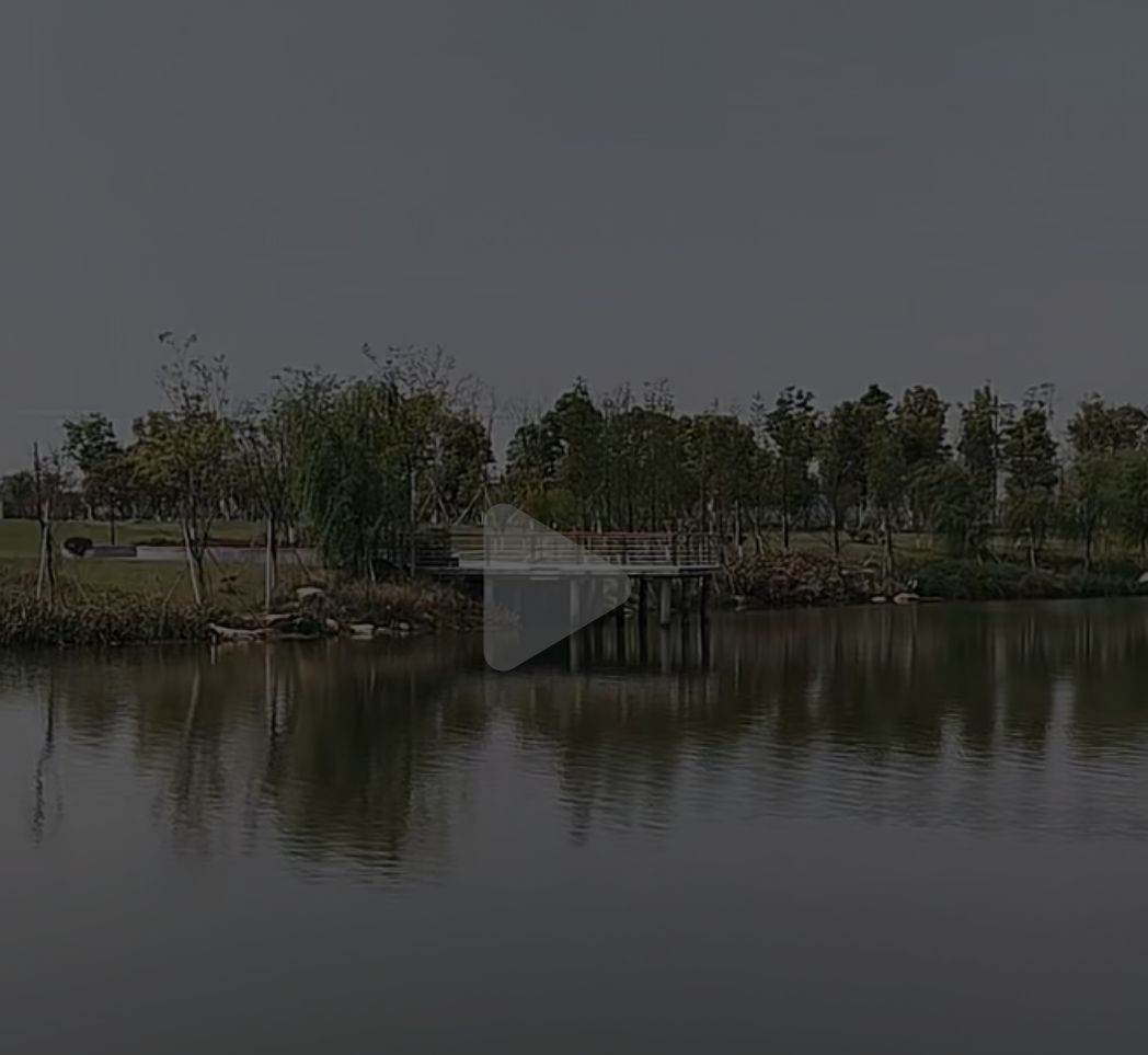 武举堤公园旅行图片 1