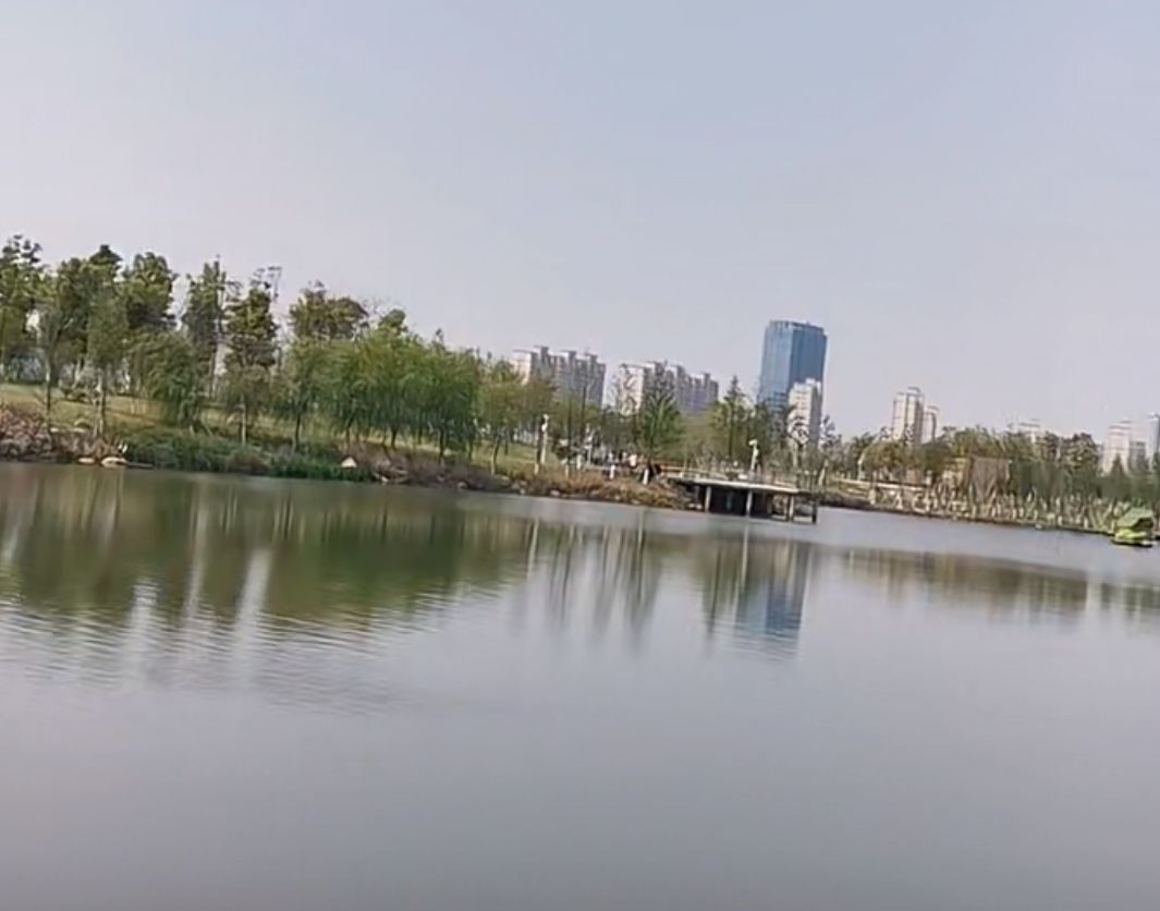 武举堤公园旅行图片 3