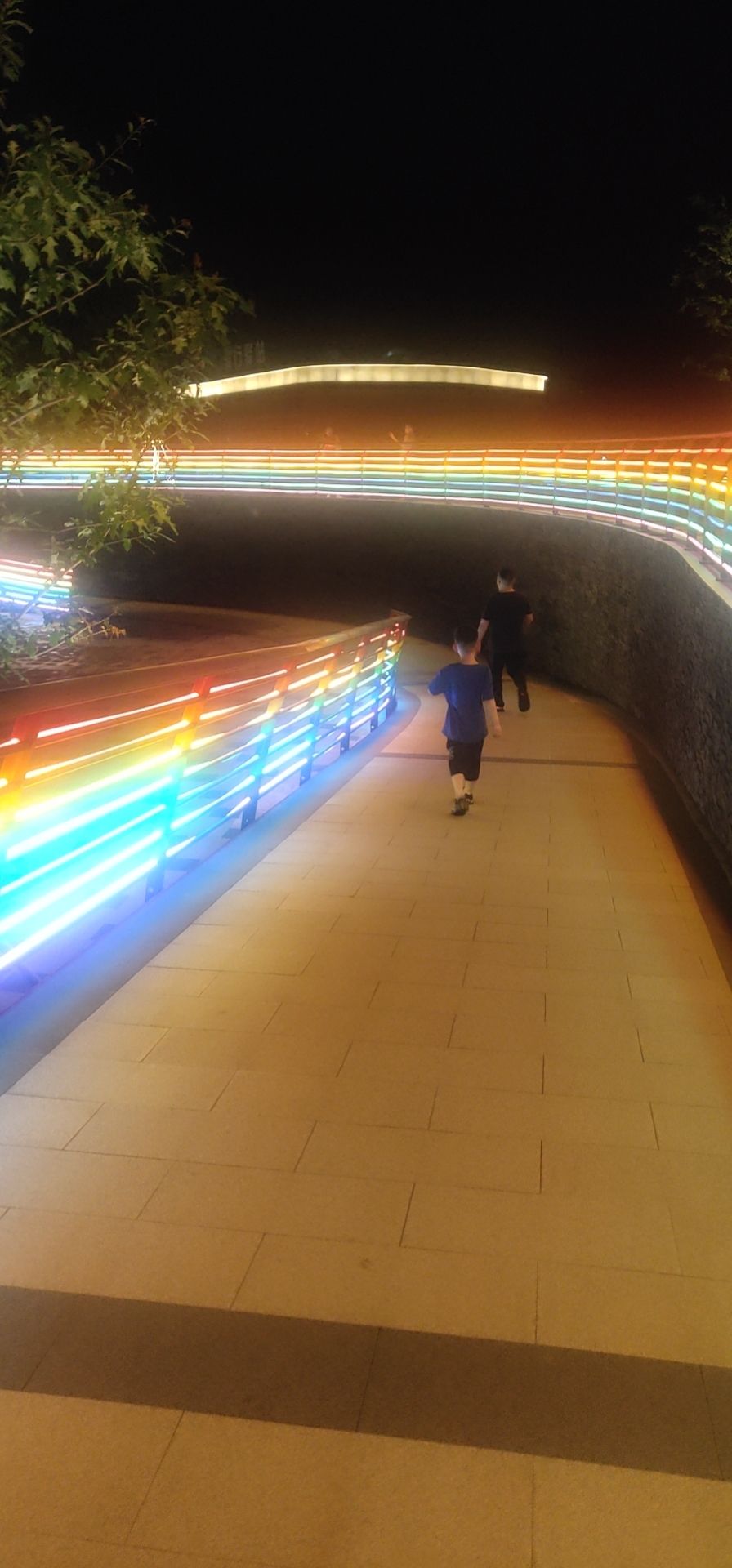 武举堤公园旅行图片 2
