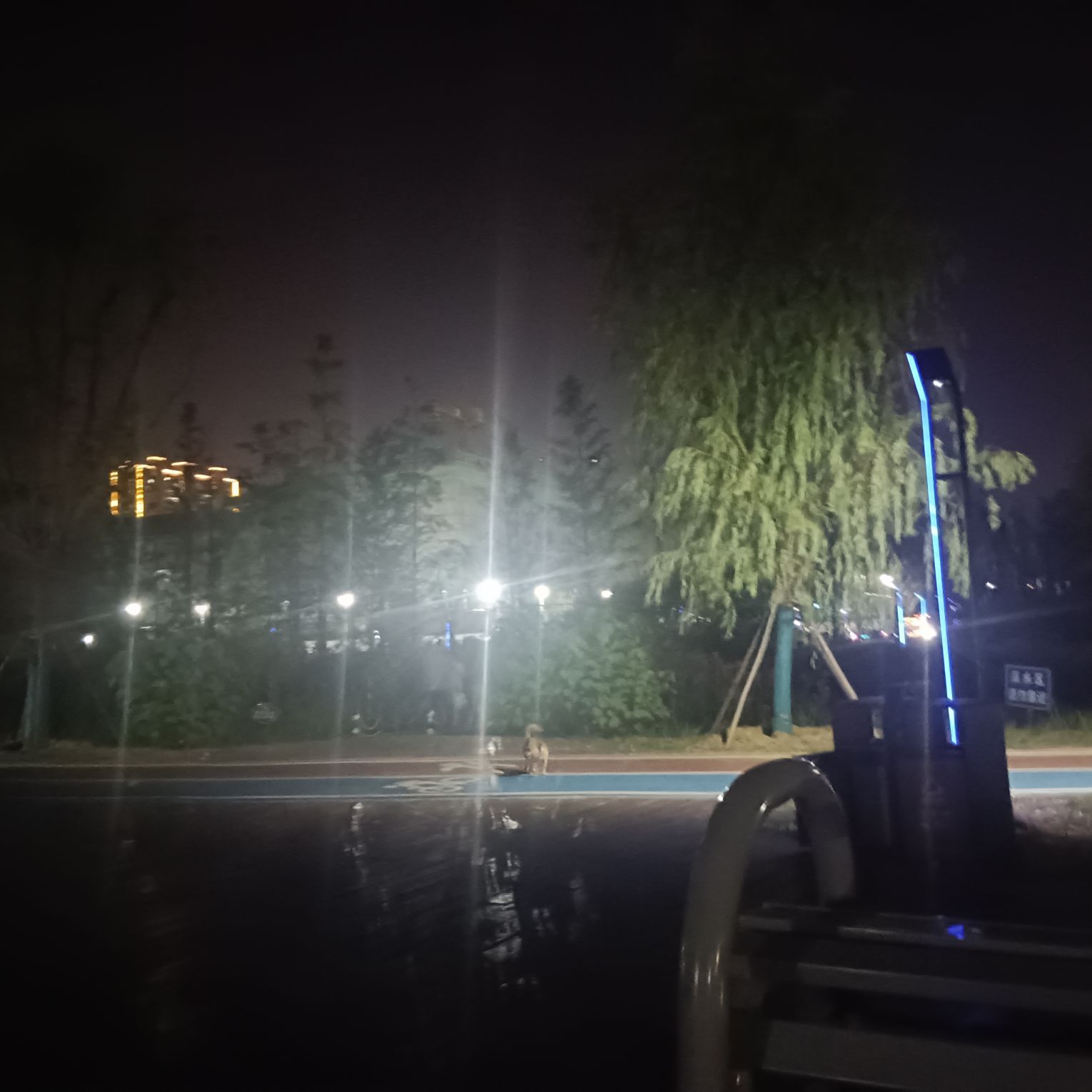 四化路公园旅行图片