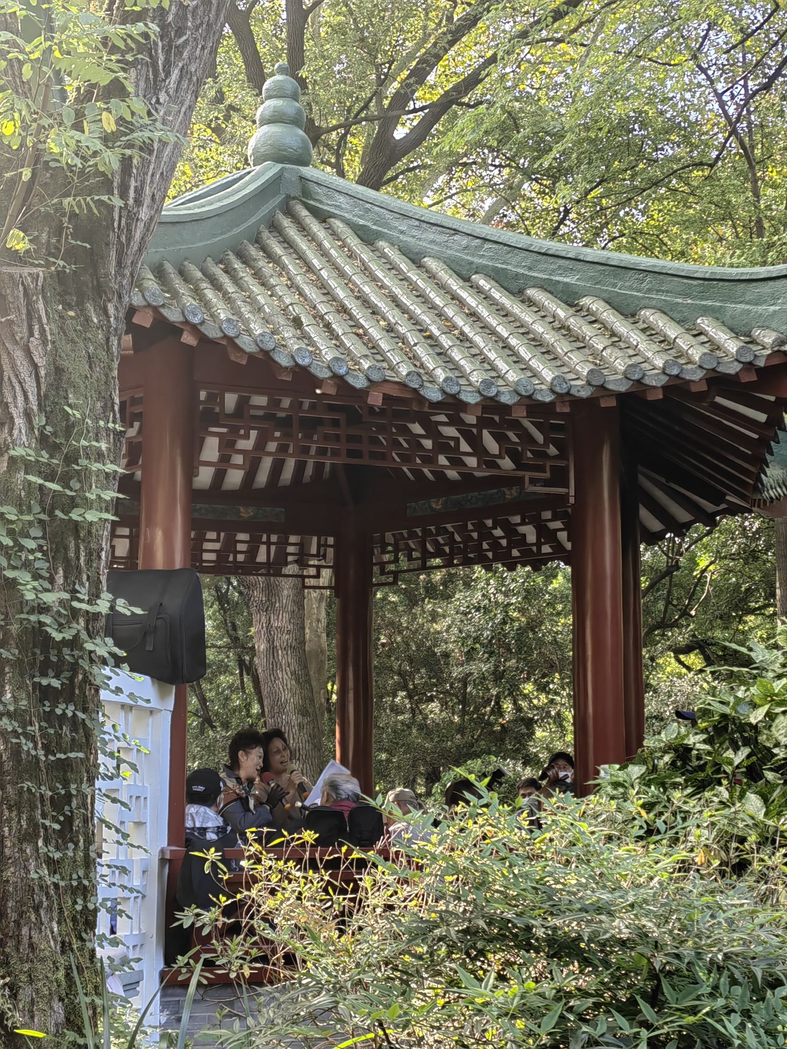 苏州河华政段旅行图片 3