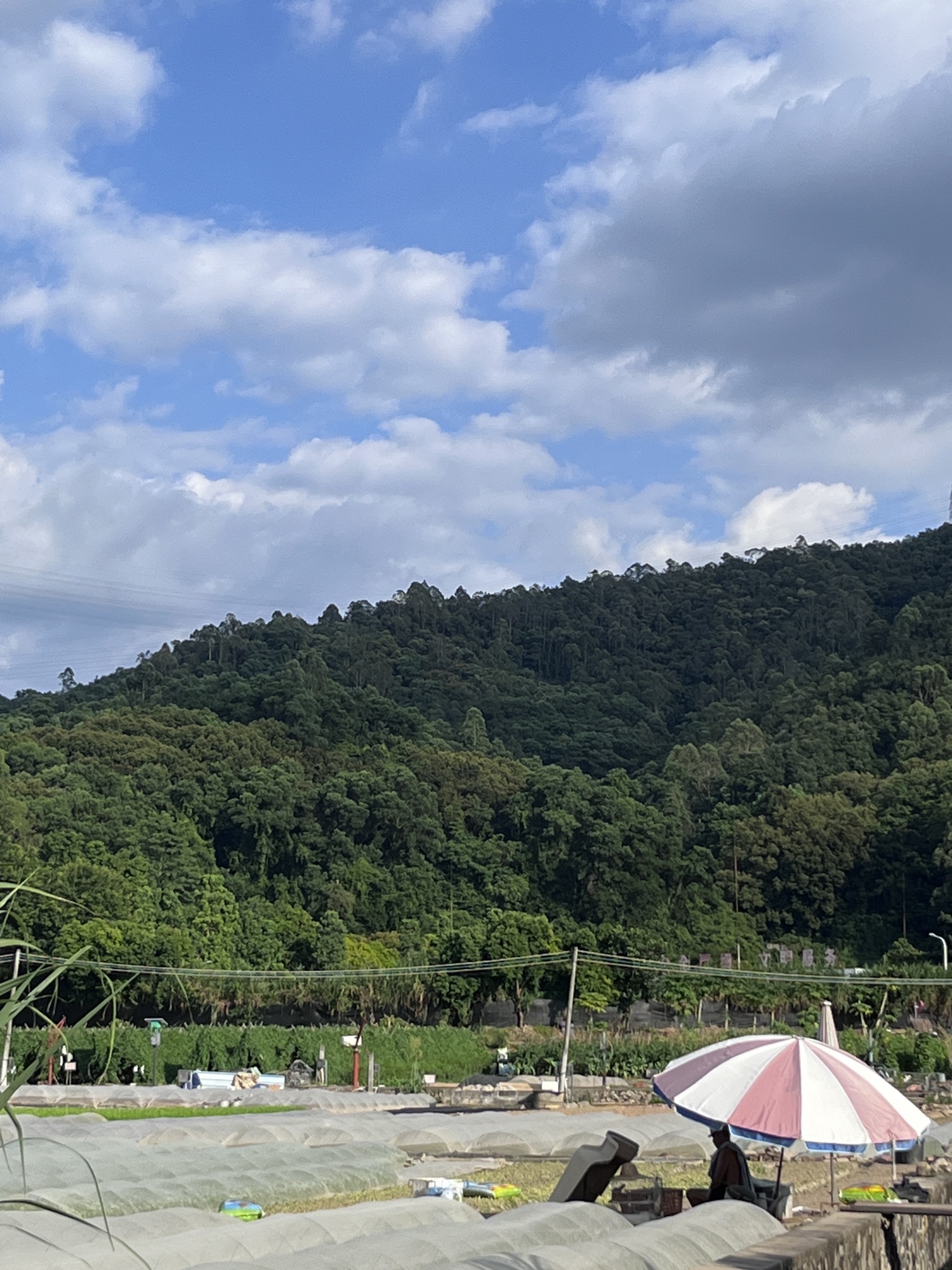 洪田火山公园旅行图片 2