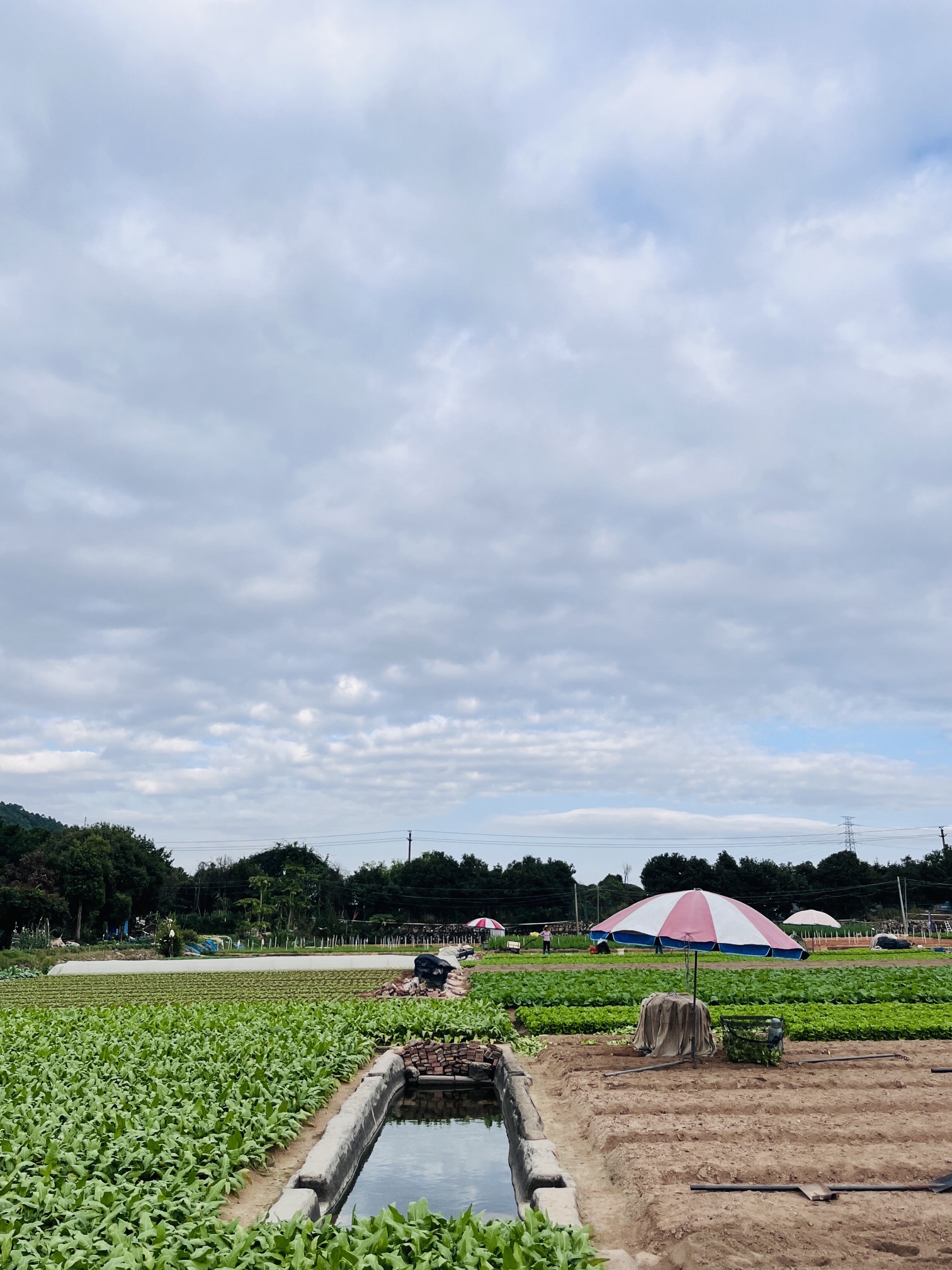 洪田火山公园旅行图片 2