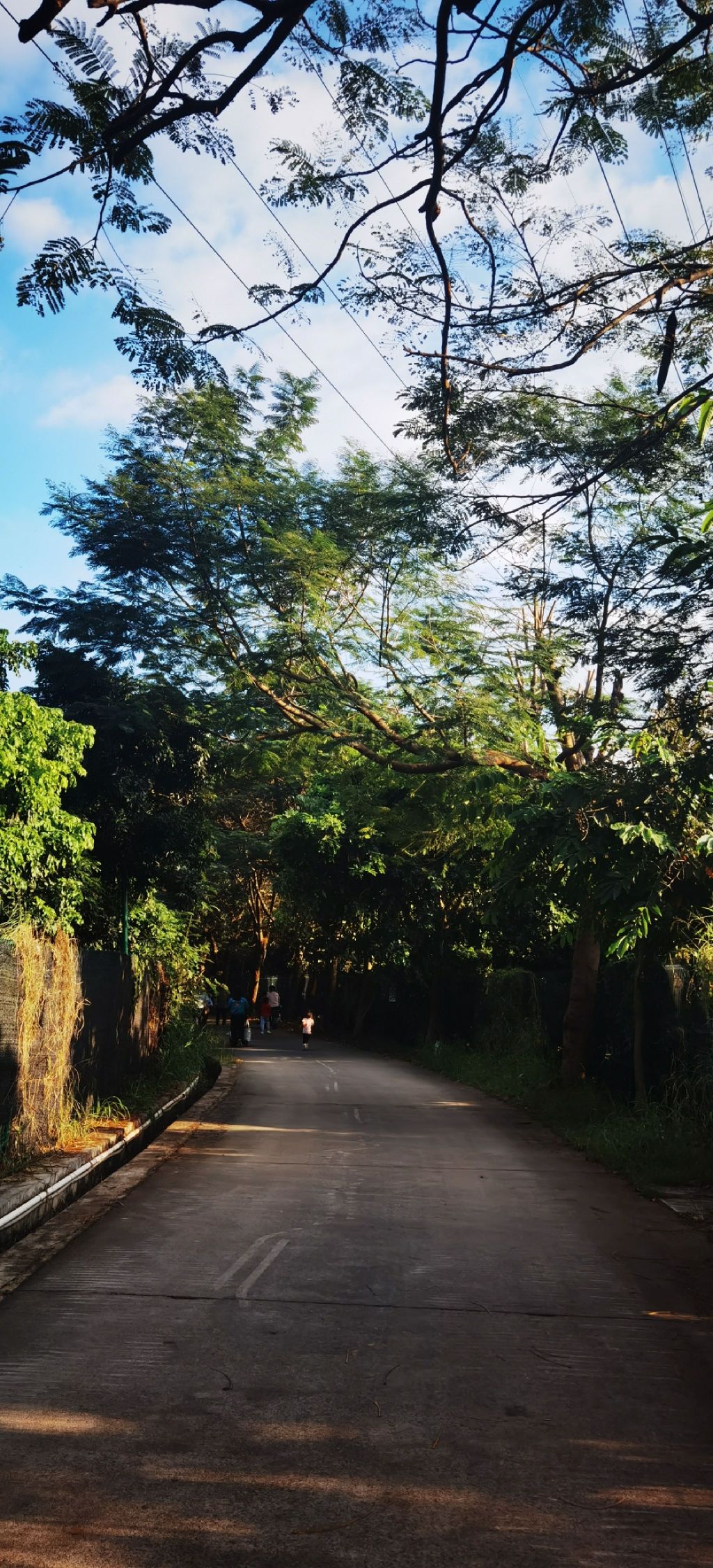 洪田火山公园旅行图片 1