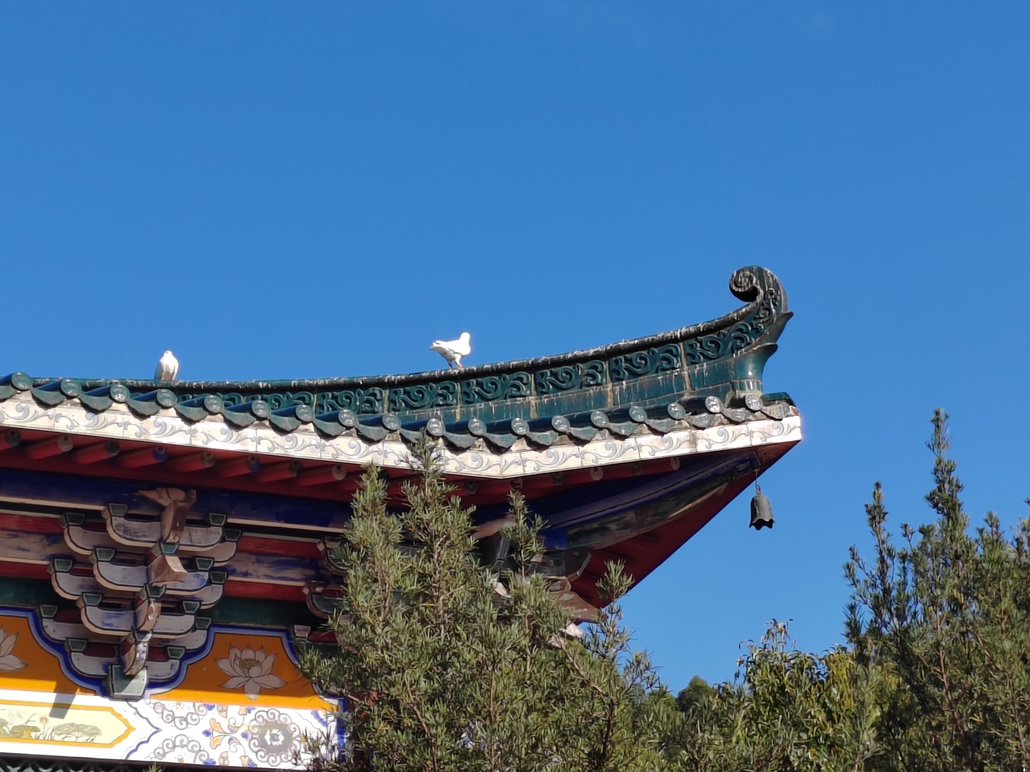洪田火山公园旅行图片 2