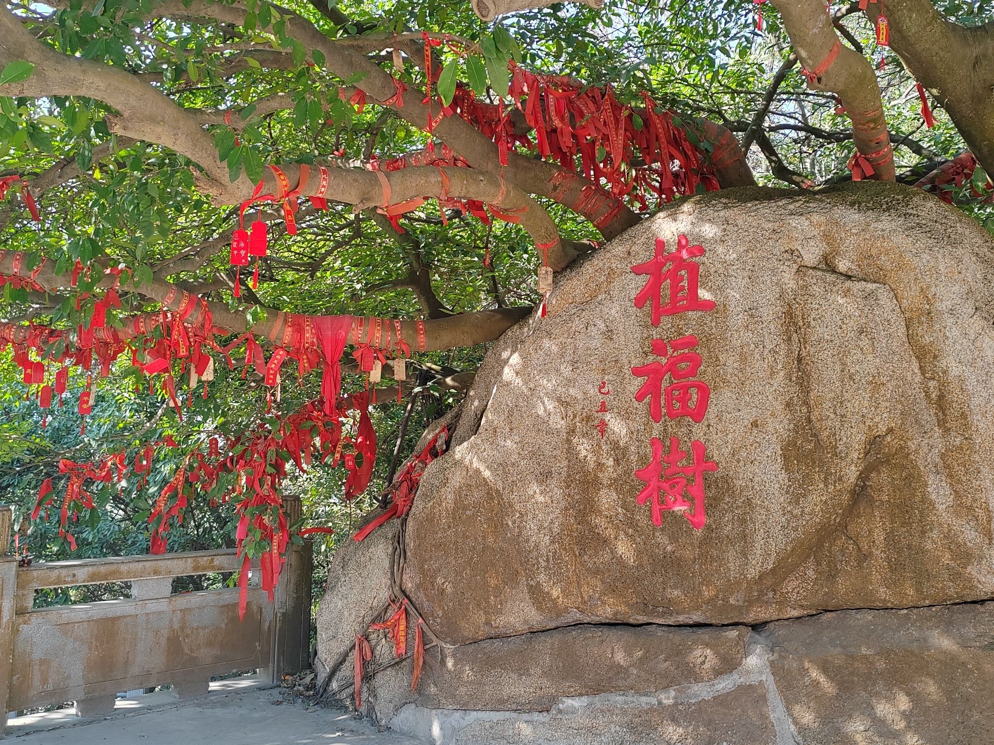洪田火山公园旅行图片 3