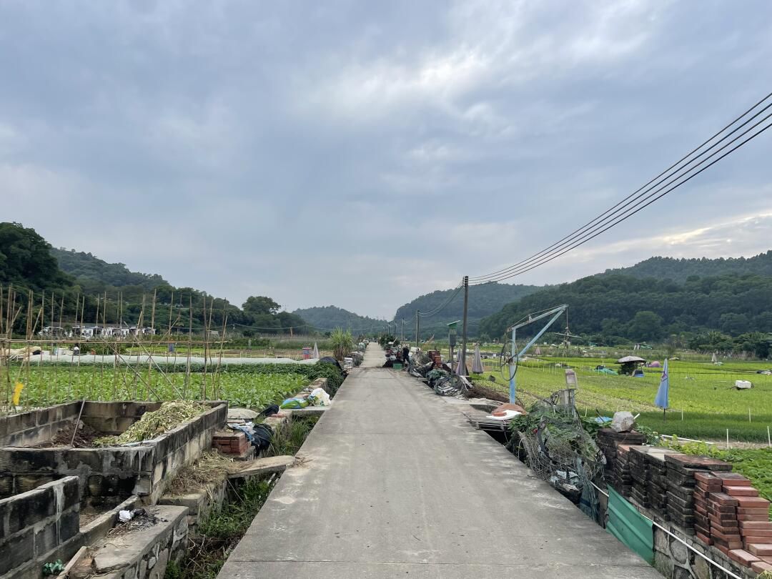 洪田火山公园旅行图片 1