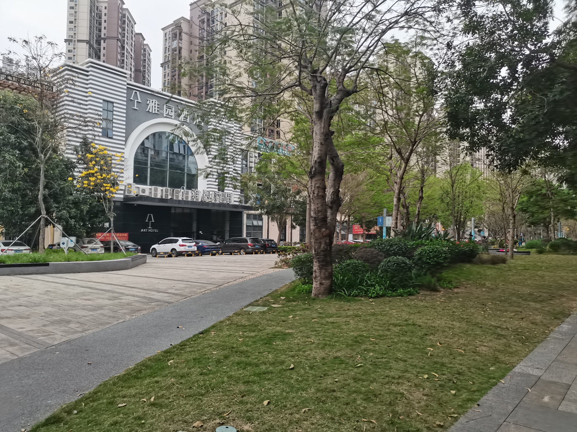 锦龙社区公园(坪山)旅行图片 3
