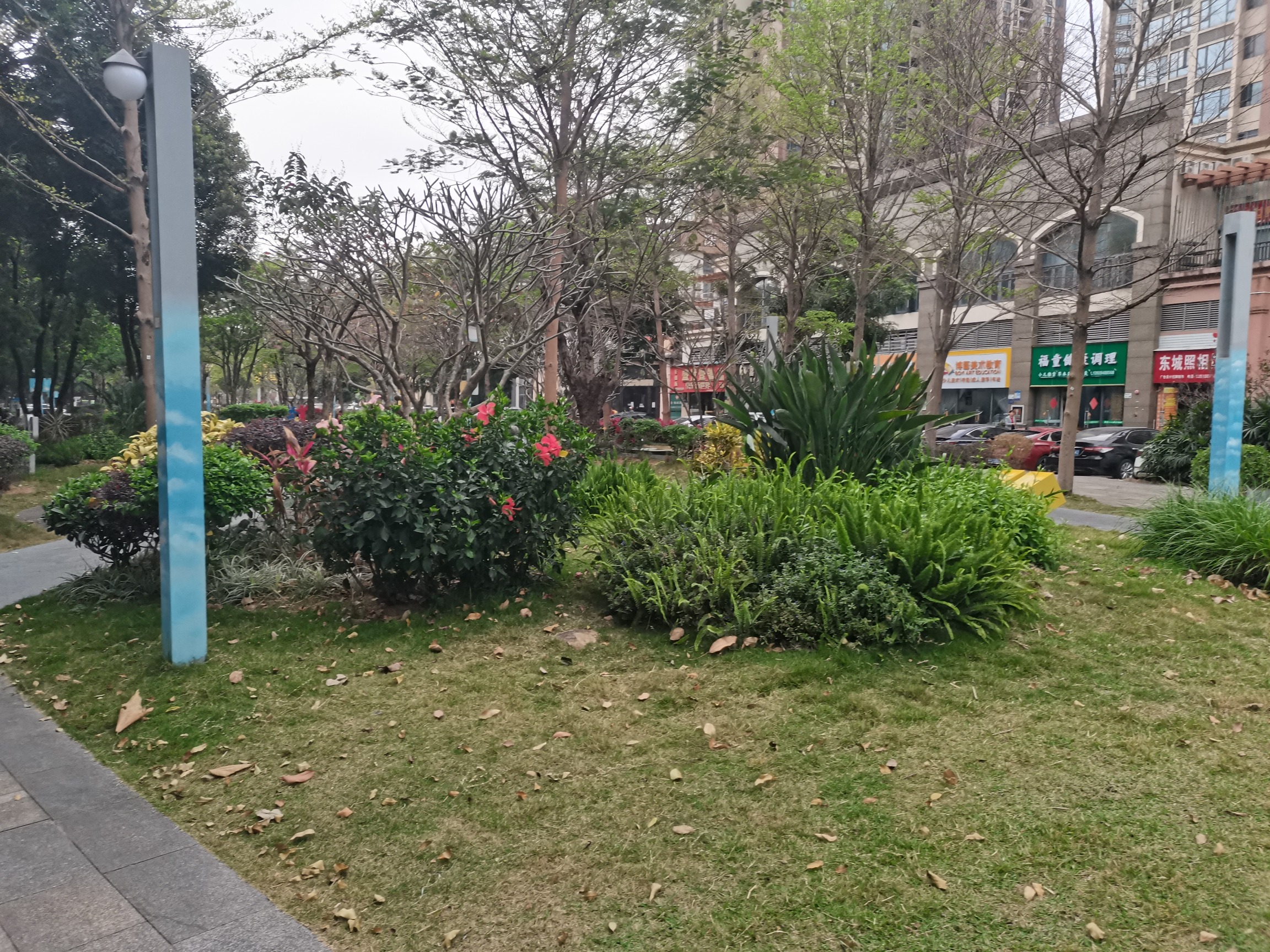 锦龙社区公园(坪山)旅行图片 1